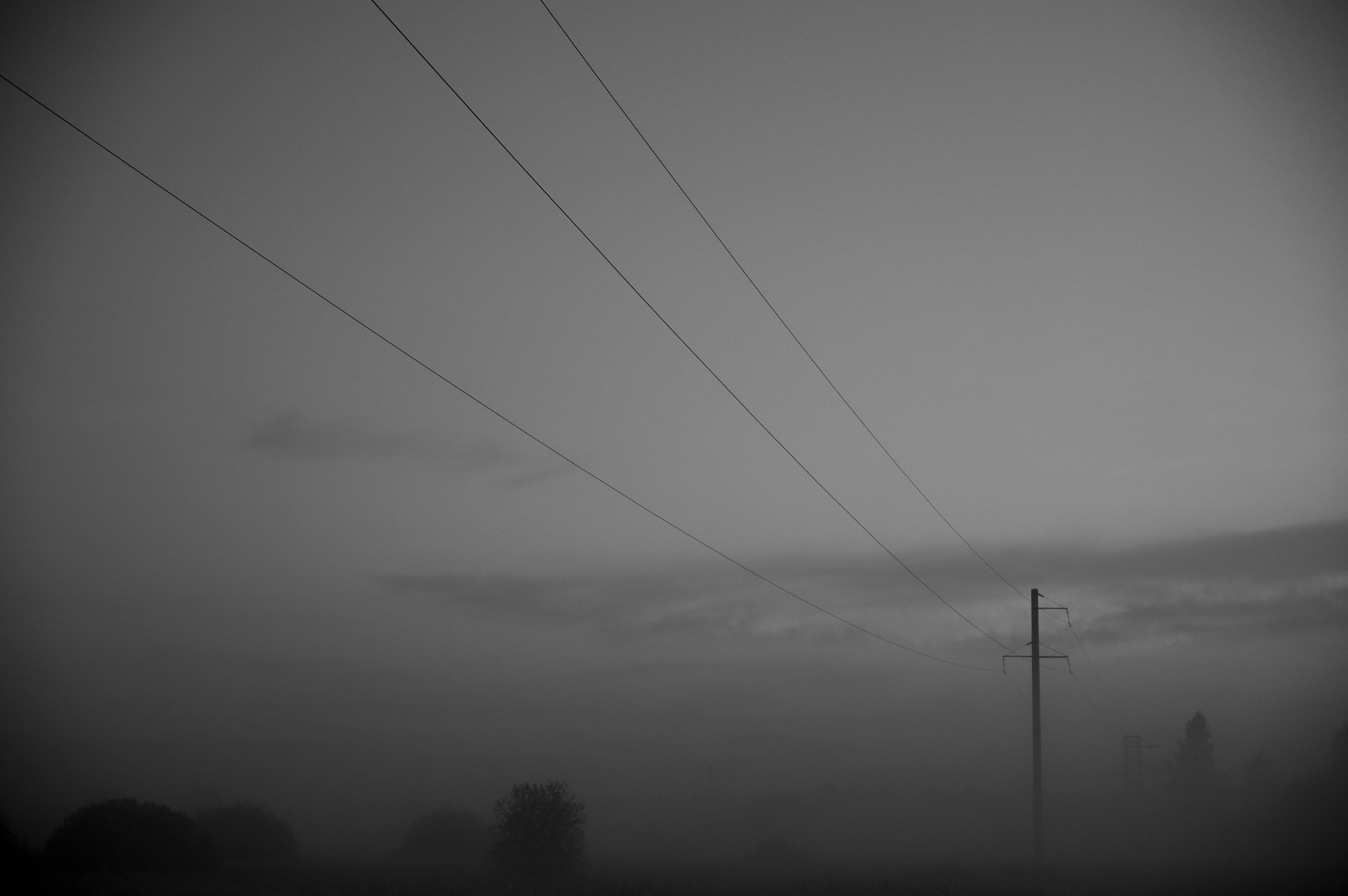 черно-белая фотография тумана и электросетей