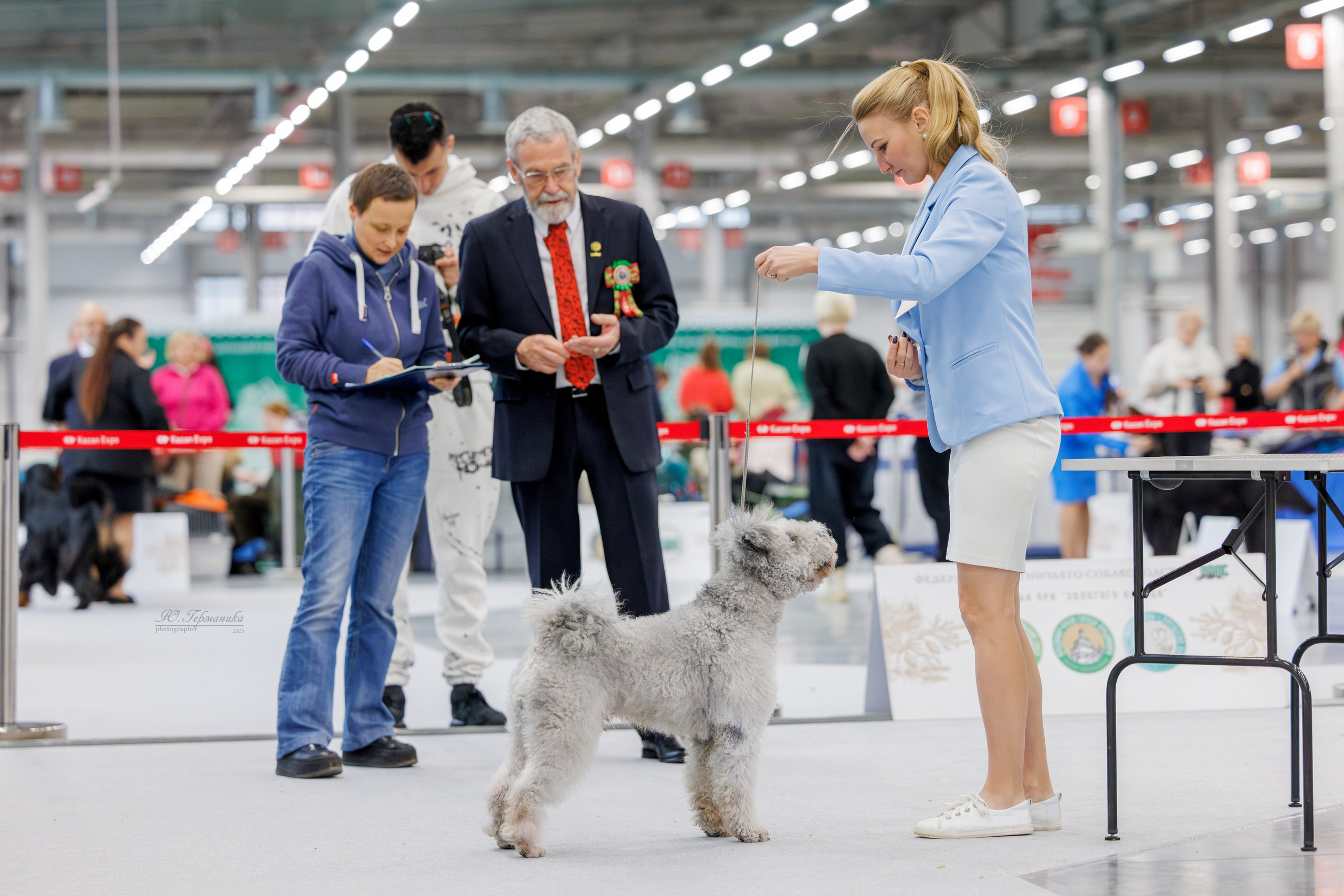 Зилант Казань 29-30.11.2025. Фотограф-анималист Юлия Германика