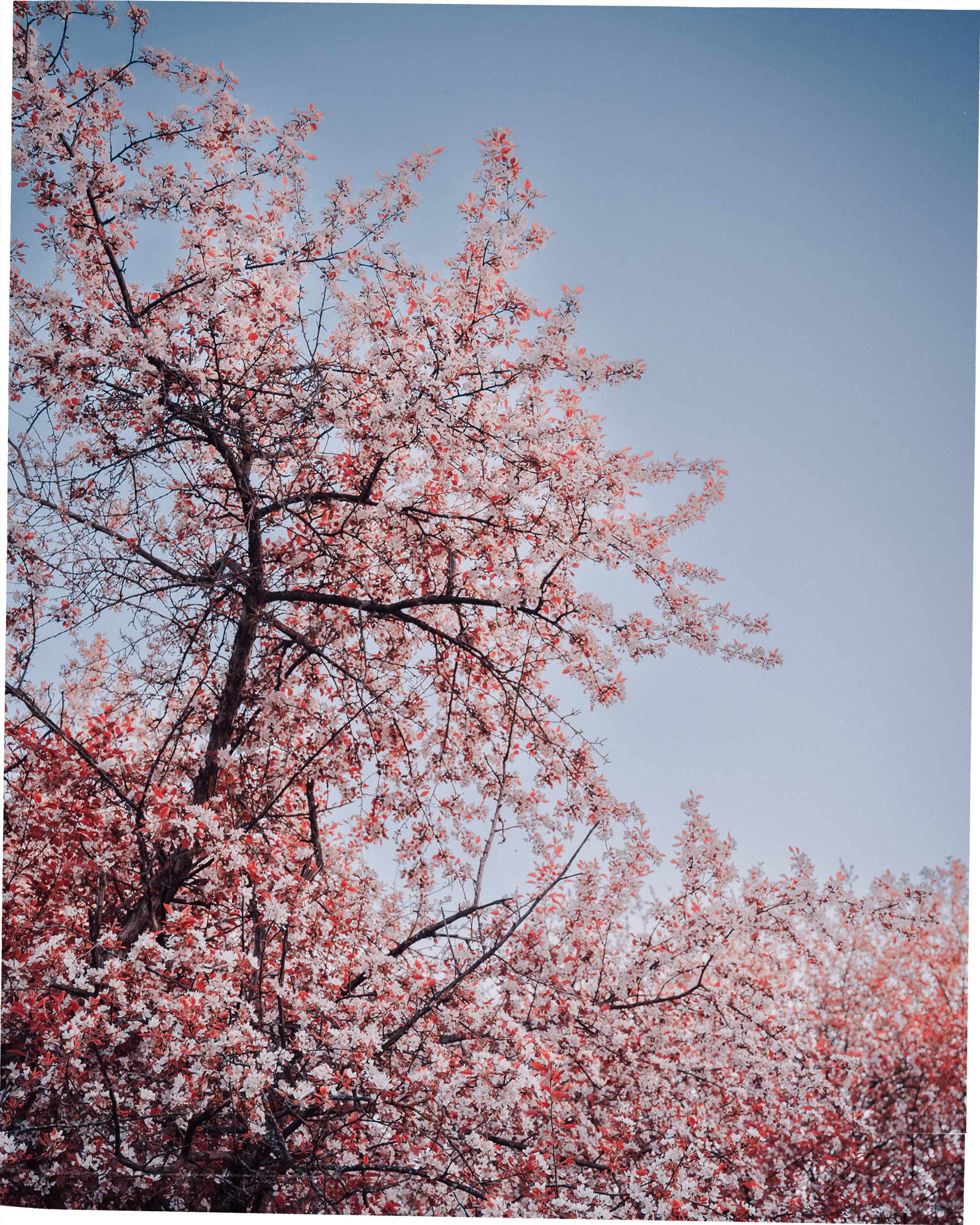 W. Фотограф в Глазове Роман Маньков