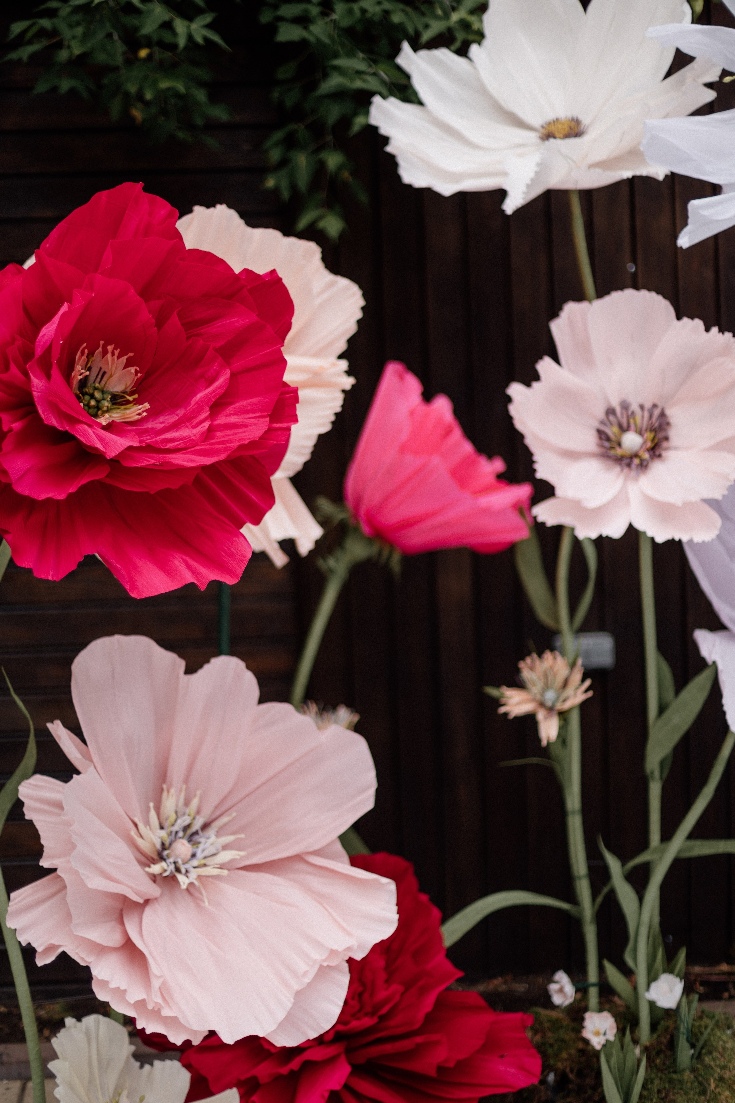 Василий и Ольга. Мордвинова Татьяна