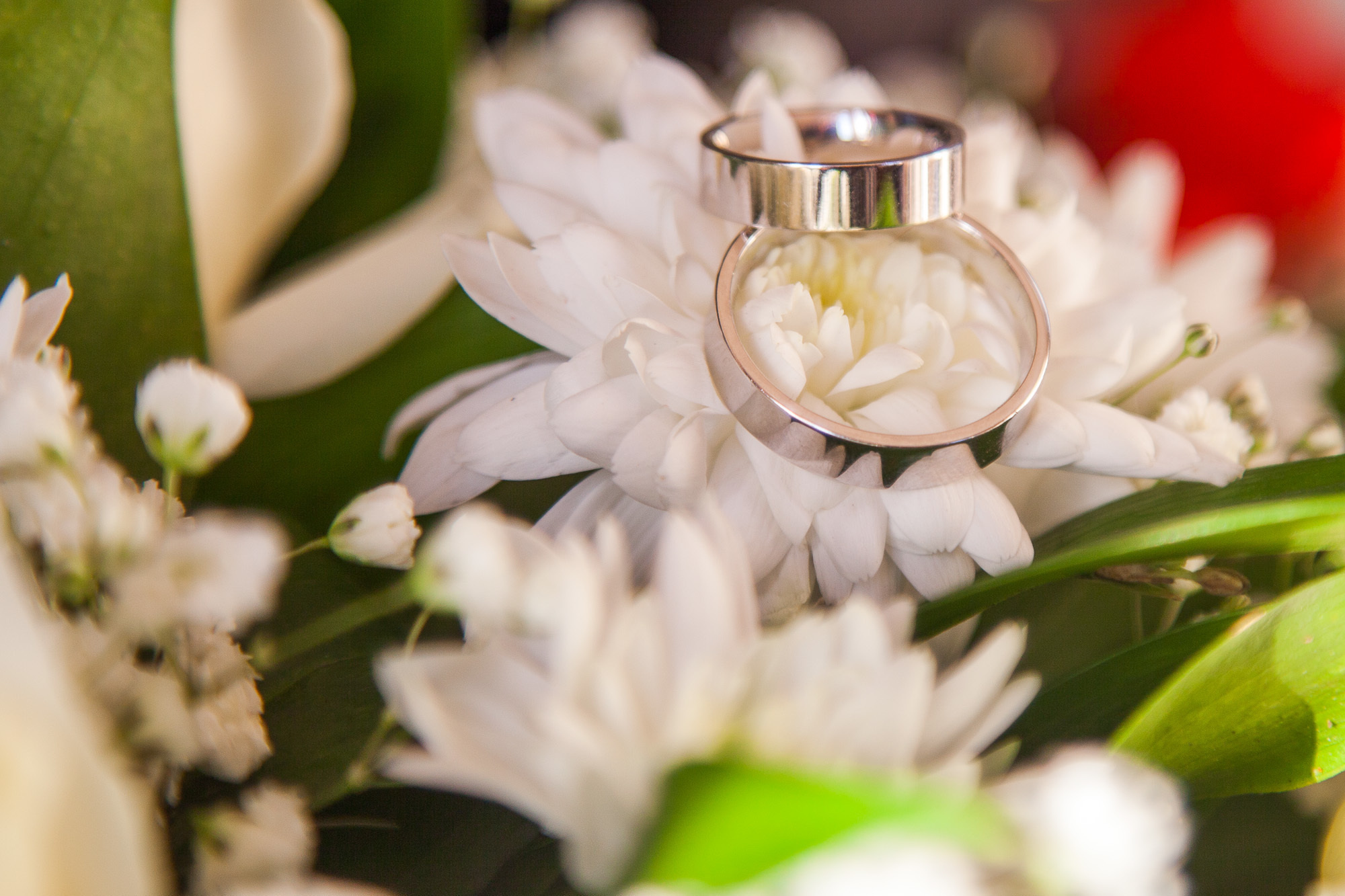 Свадебая фотосессия, свадьба Сочи, портрет, свадебный портрет. живые ф. Фотограф в Сочи! Детские, семейные свадебные фотосессии! Главный эмоци