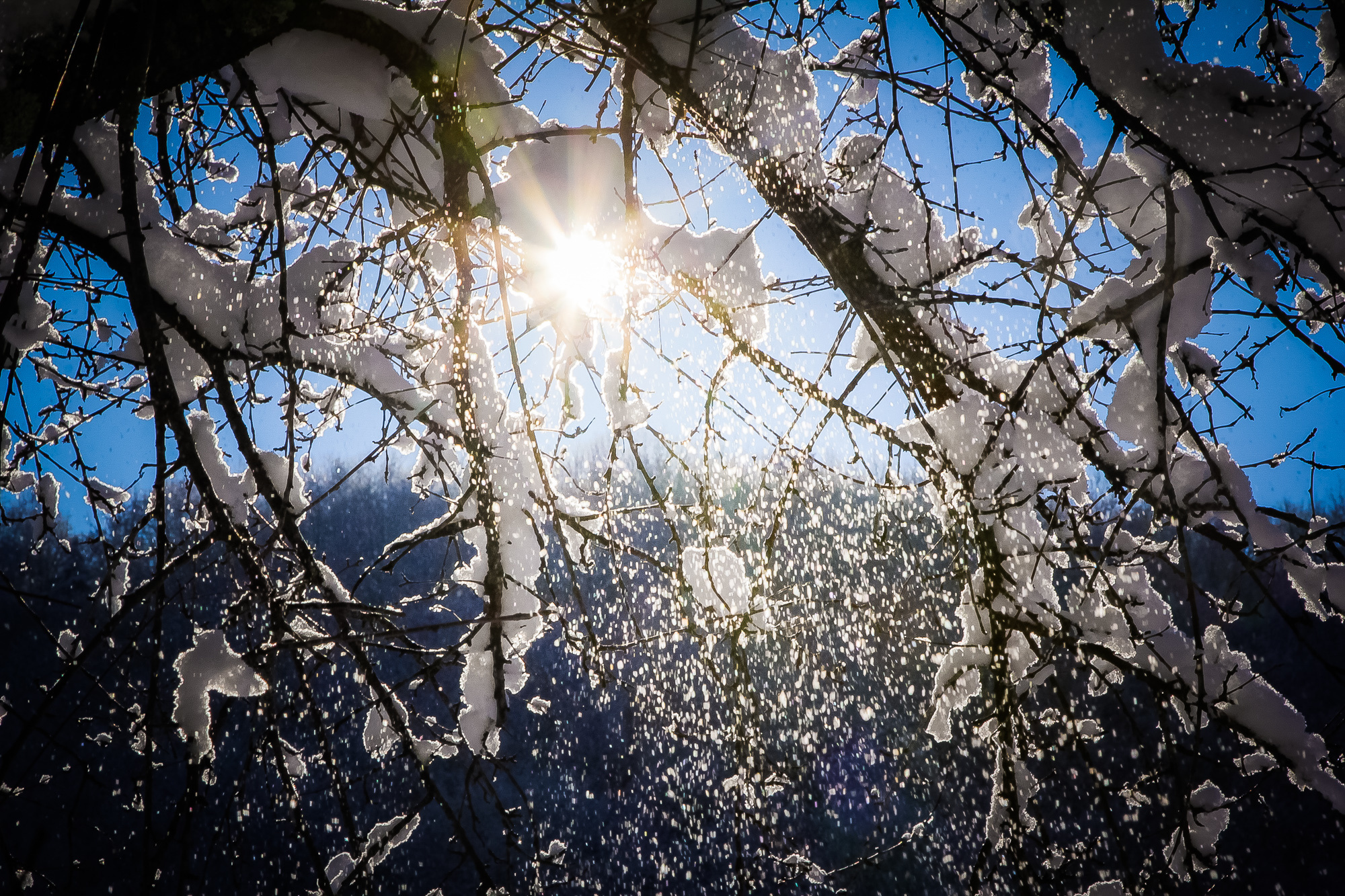 Фотосессия в студий, фото картина,. Фотограф в Сочи! Детские, семейные свадебные фотосессии! Главный эмоци
