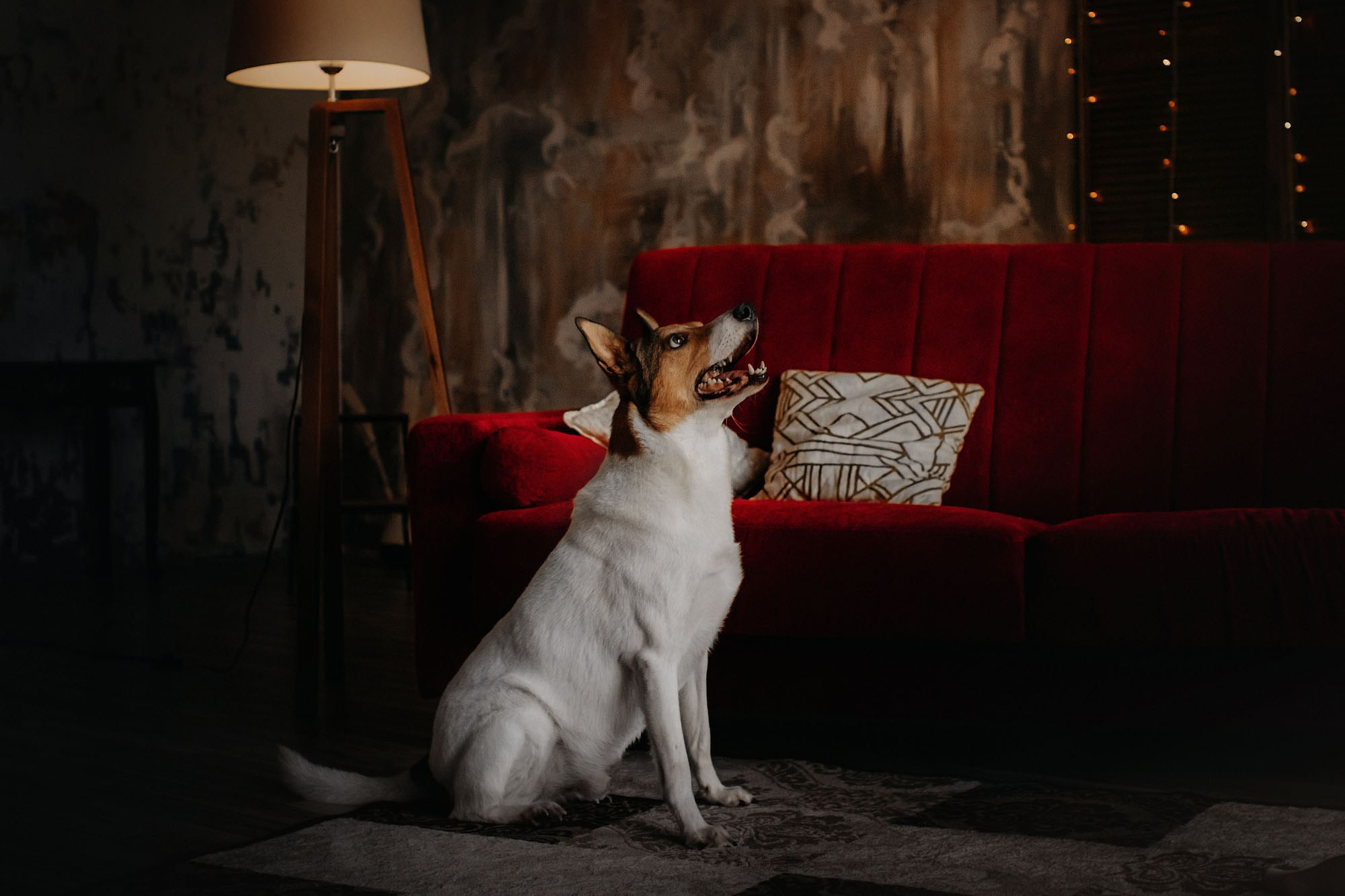 Наталья и Эпик. Фотограф Наталья Потапова