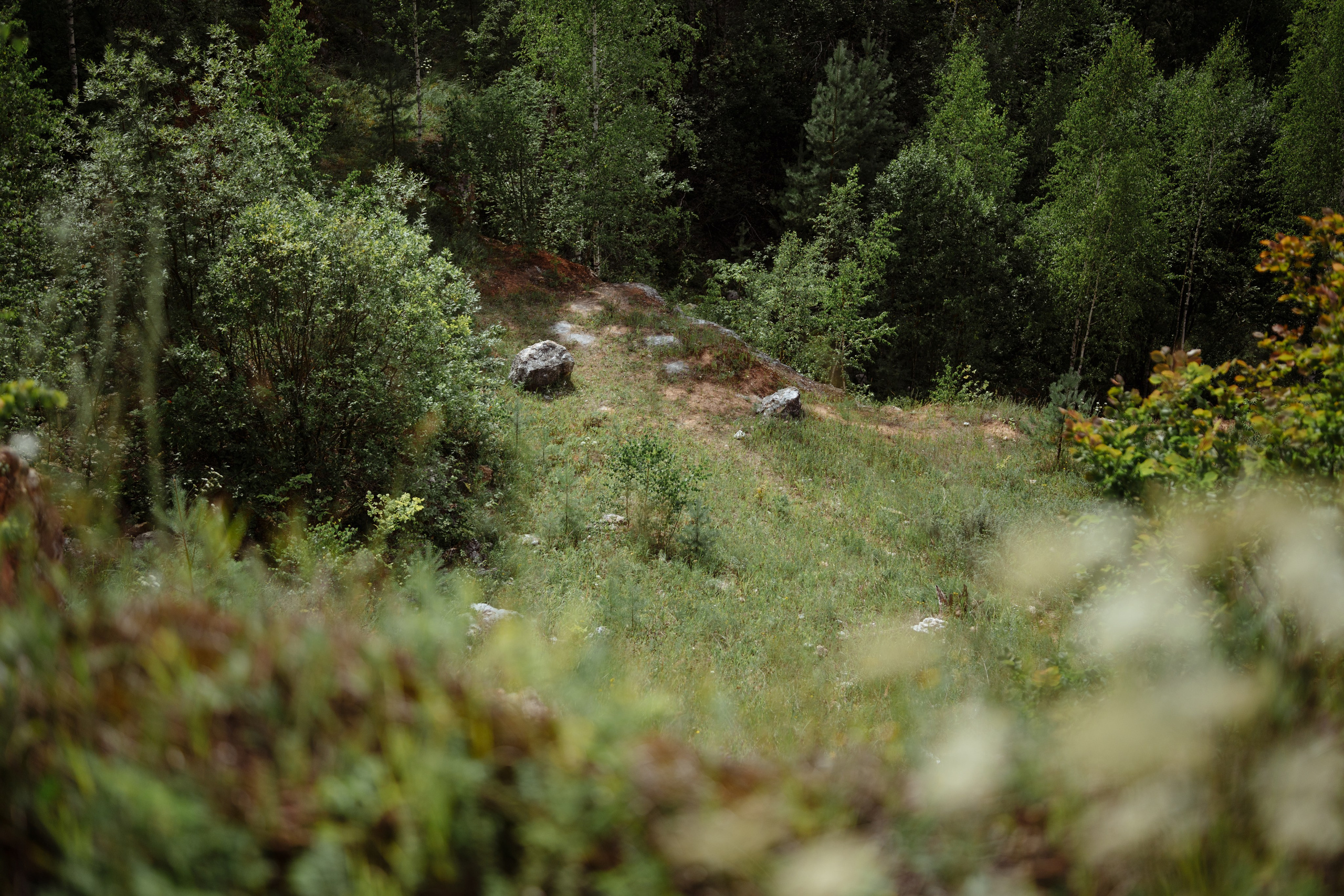 Сюжет № 10|Иван Викторович Евстифеев