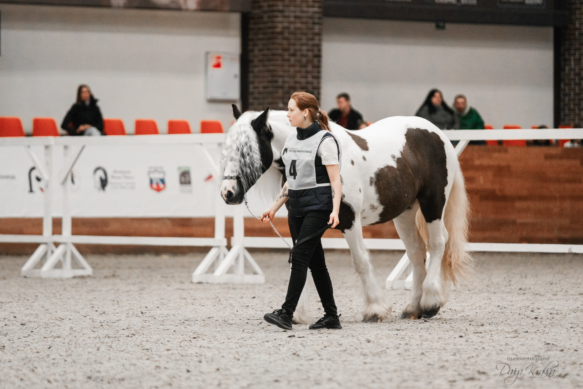 8-я международная выставка Конная Россия. Конный фотограф Куракина Дарья • Фотосессии с лошадьми