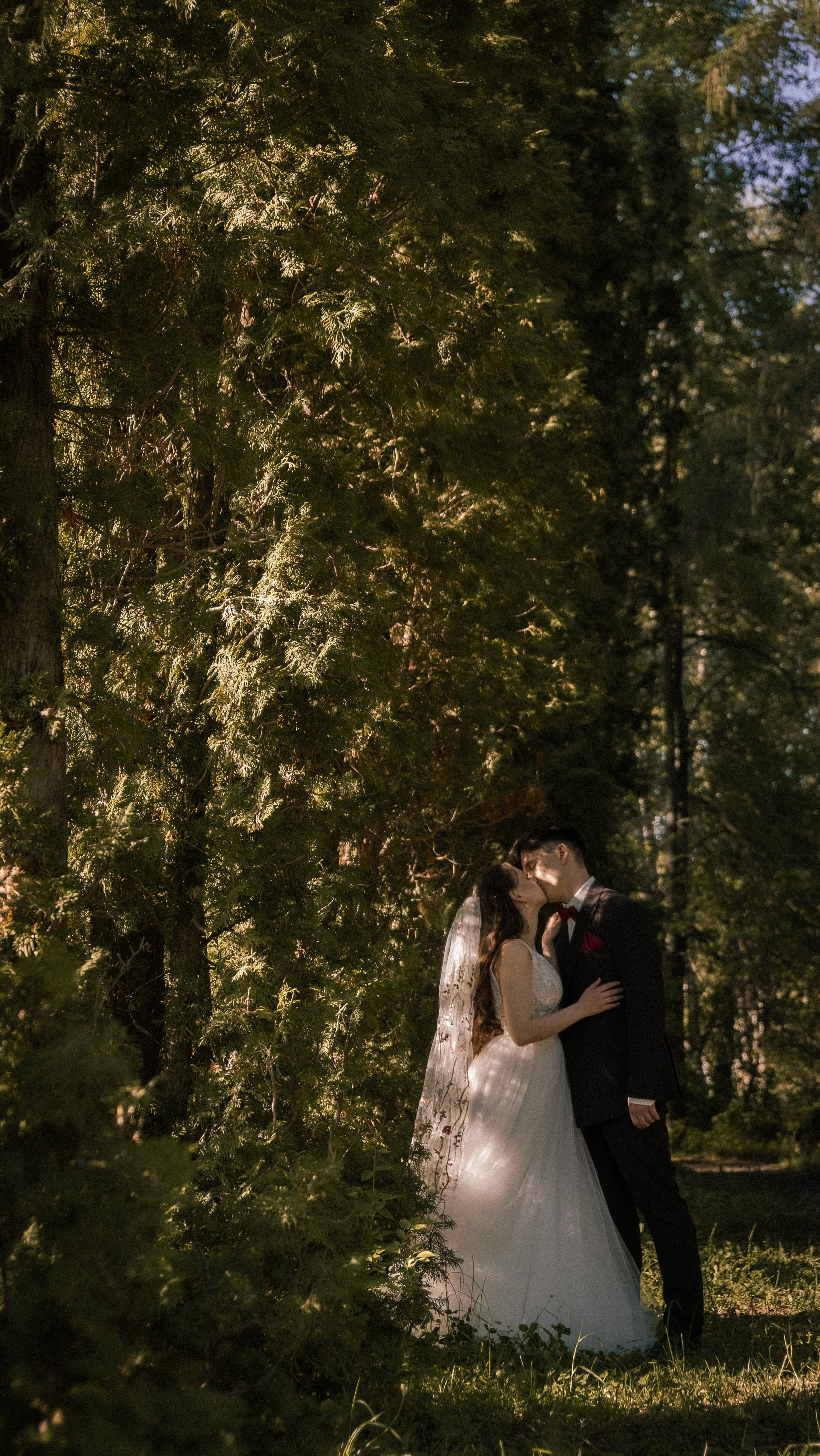 Алина и Арсений. Фотограф и видеограф Андрей Кукишев