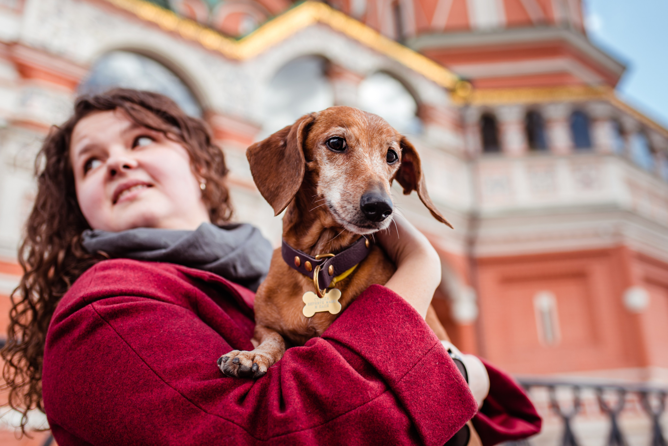 Таксы на Красной площади. Семейный Фотограф в Москве Ирина Хохлова