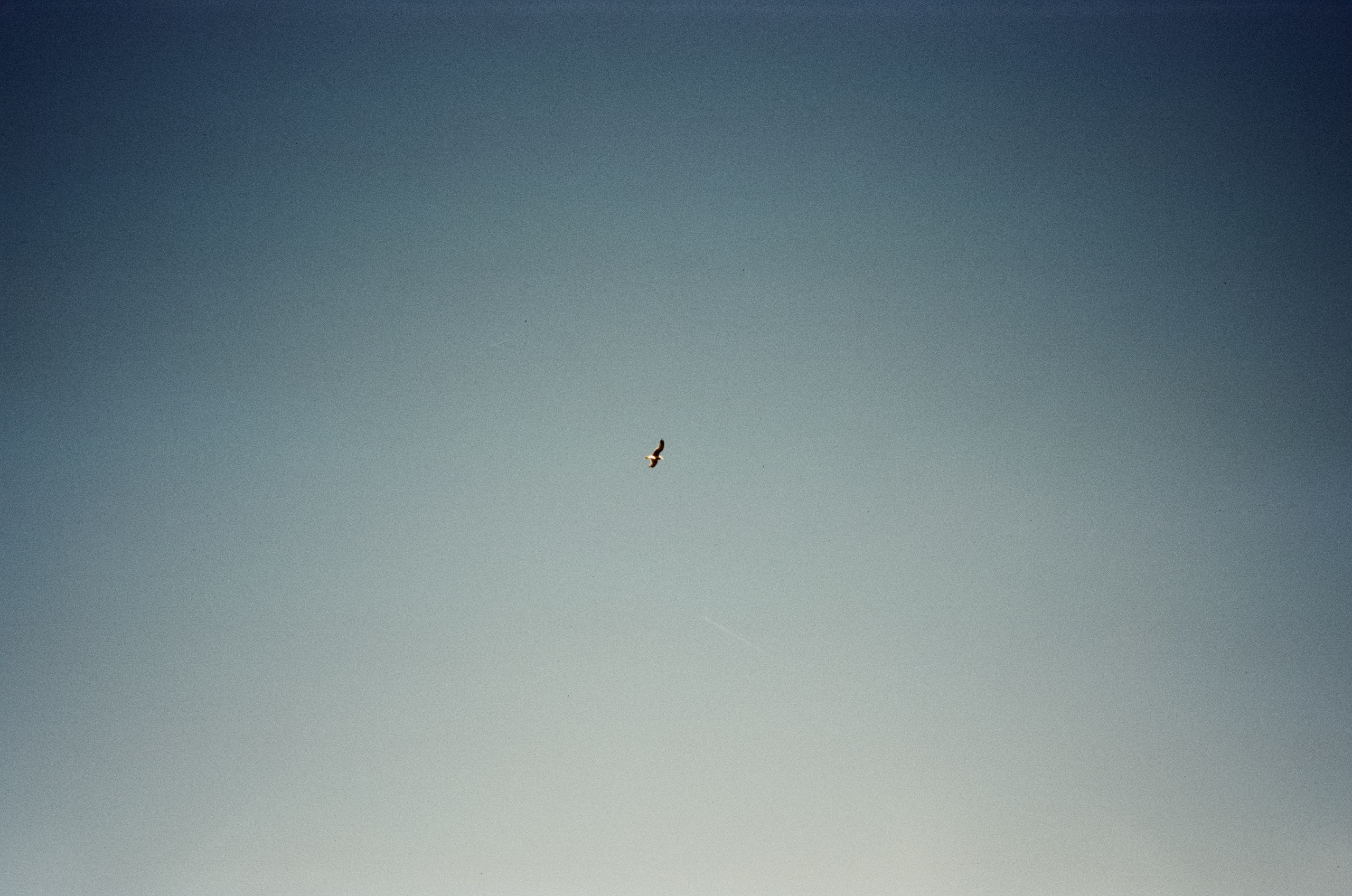 Ricoh GR10 / SFL 250D / Тестовая пленка у речки в Строгино