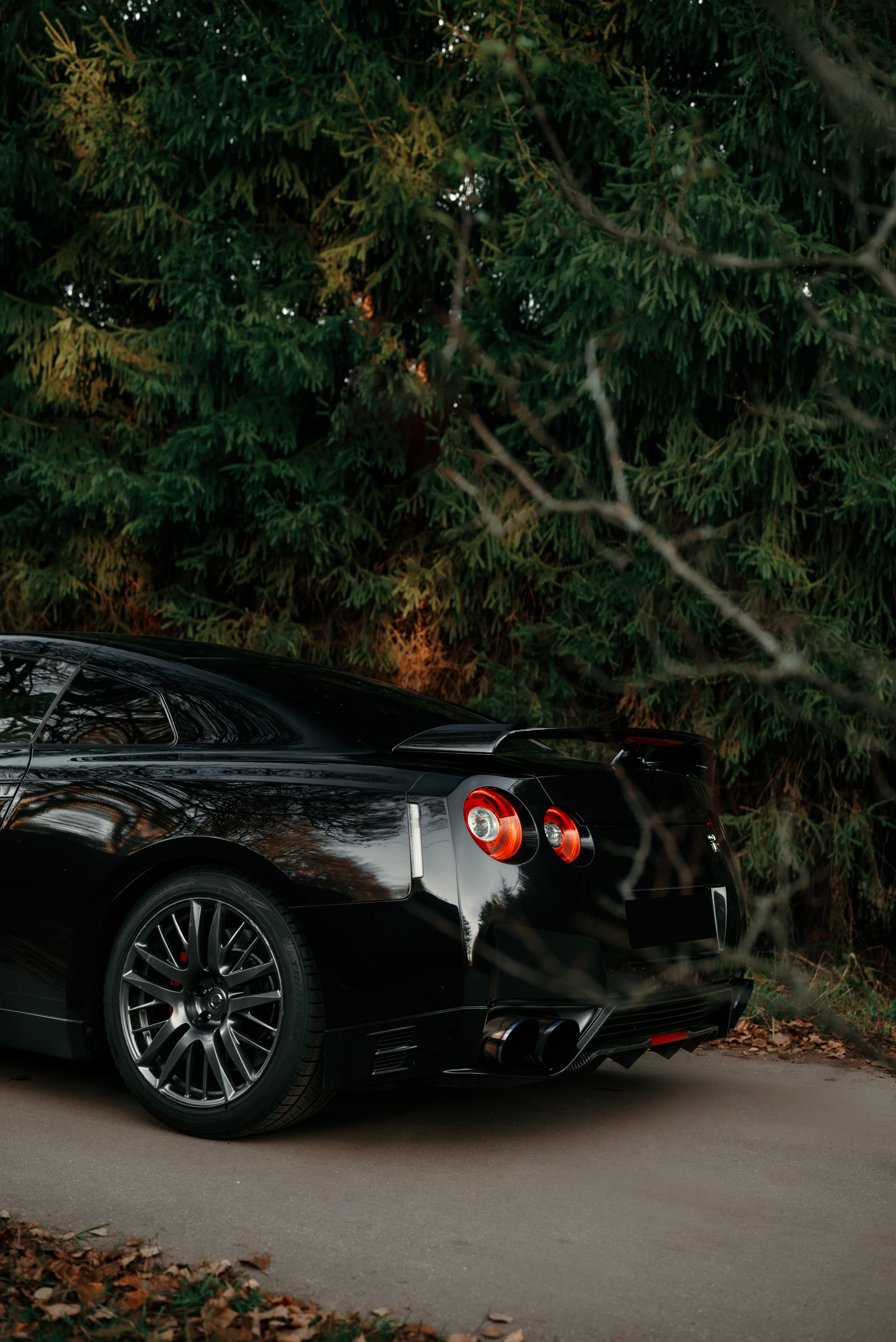 Nissan GT-R35 autumn vibe. DeLorein
