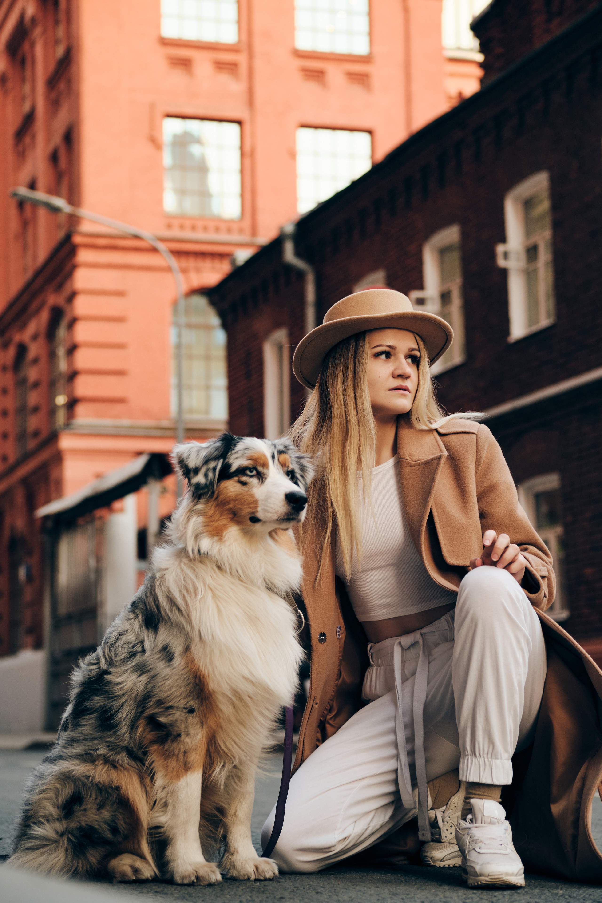 Фотосессия с собаками. Профессиональный фотограф в Москве — Максим Дьяконов