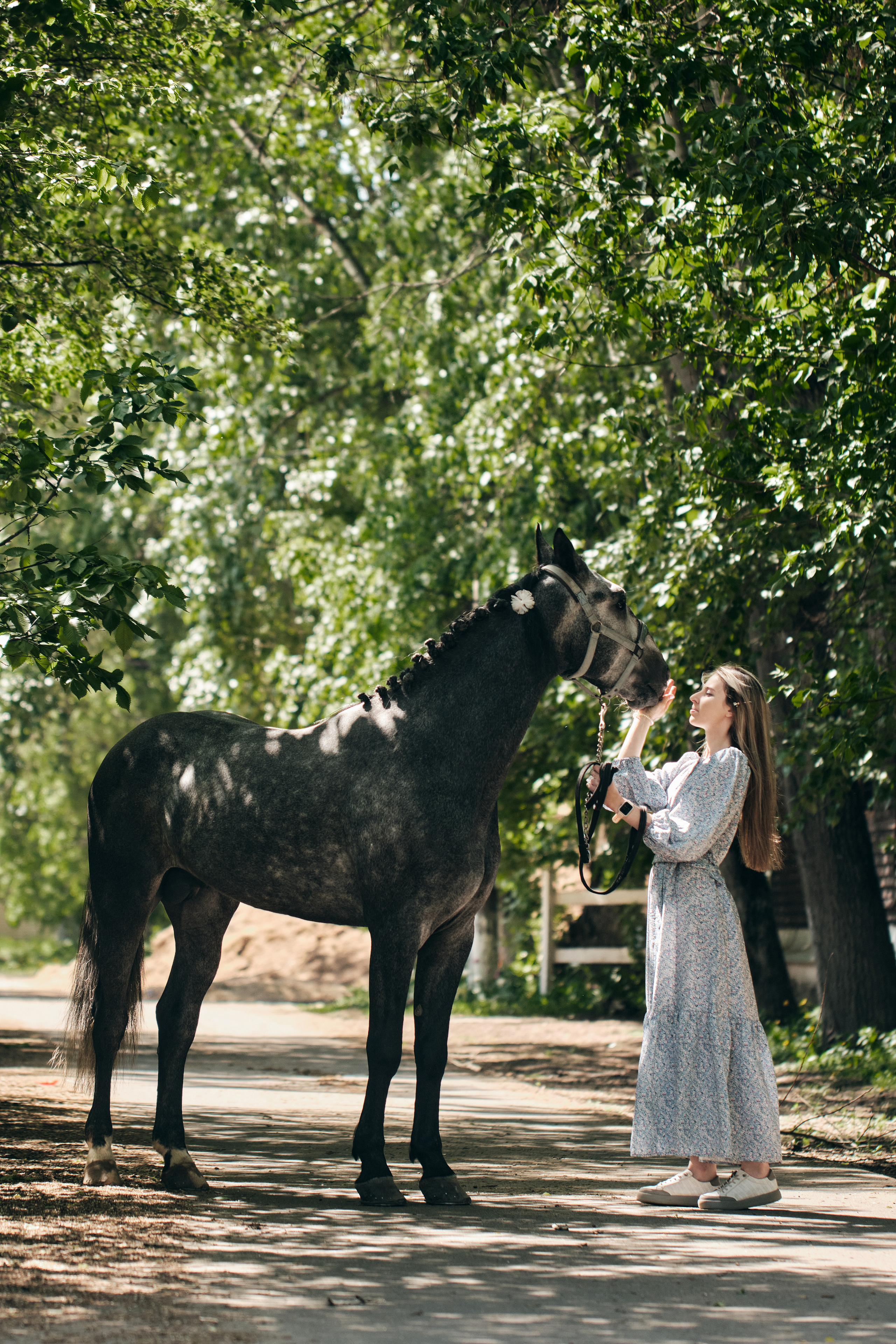 Фотосессия с лошадью. Профессиональный фотограф в Москве — Максим Дьяконов