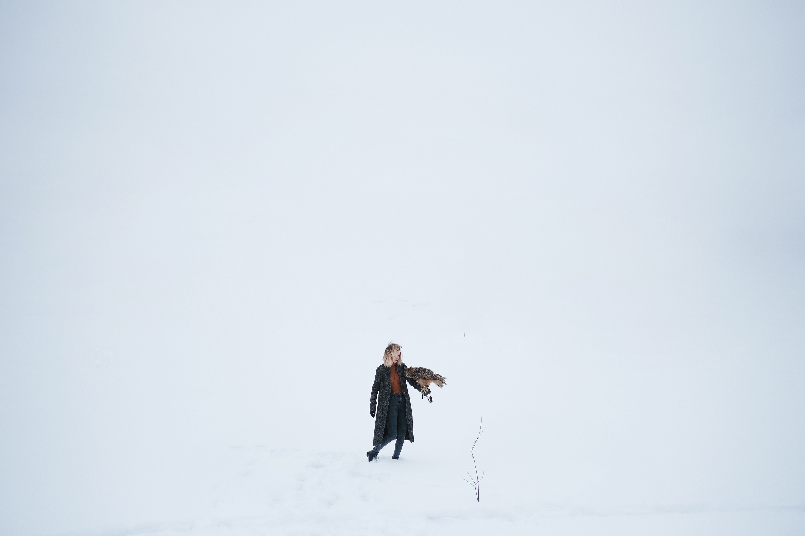 Фотограф животных в Москве и московской области. Профессиональный фотограф в Москве — Максим Дьяконов