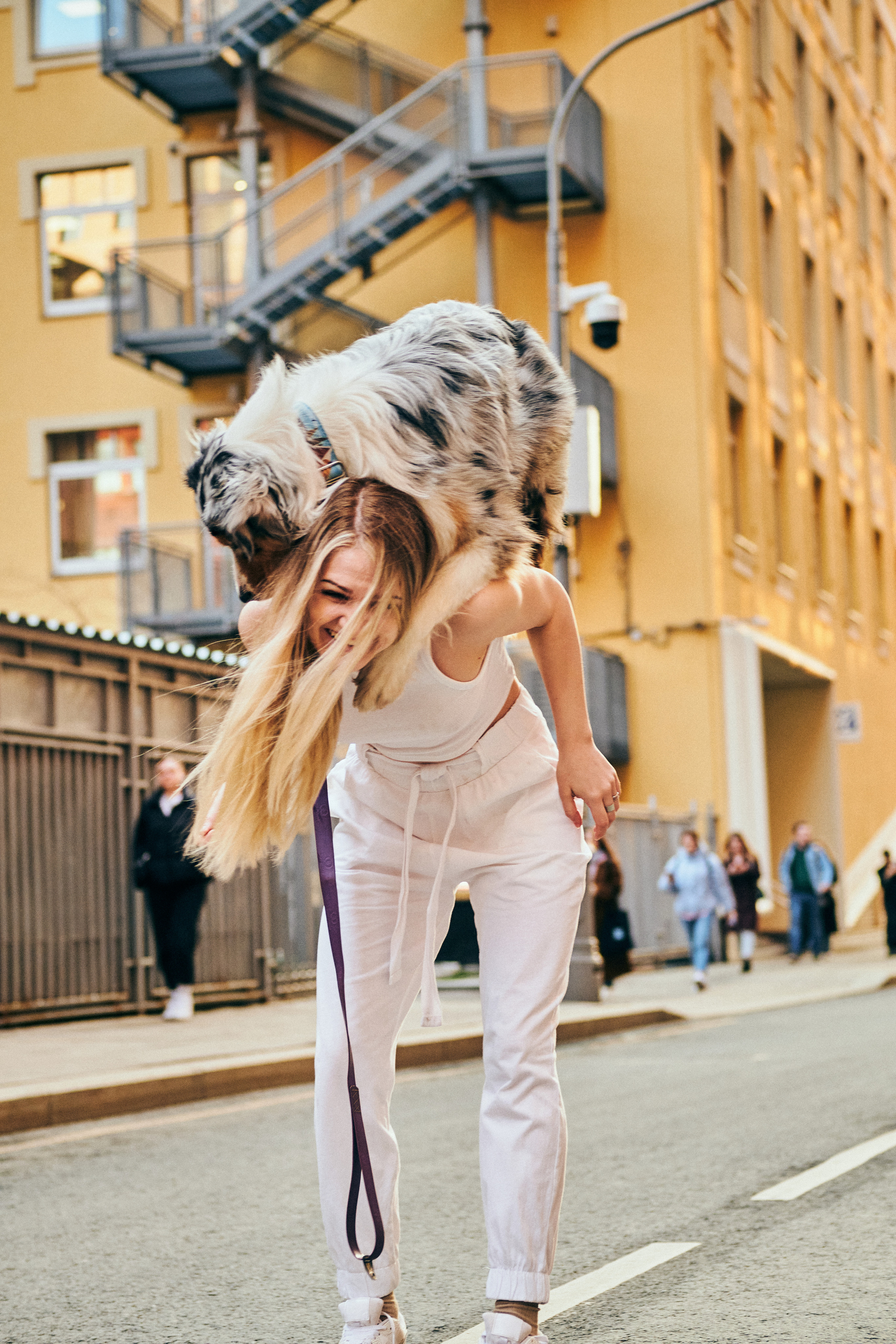 Фотосессия с собаками. Профессиональный фотограф в Москве — Максим Дьяконов