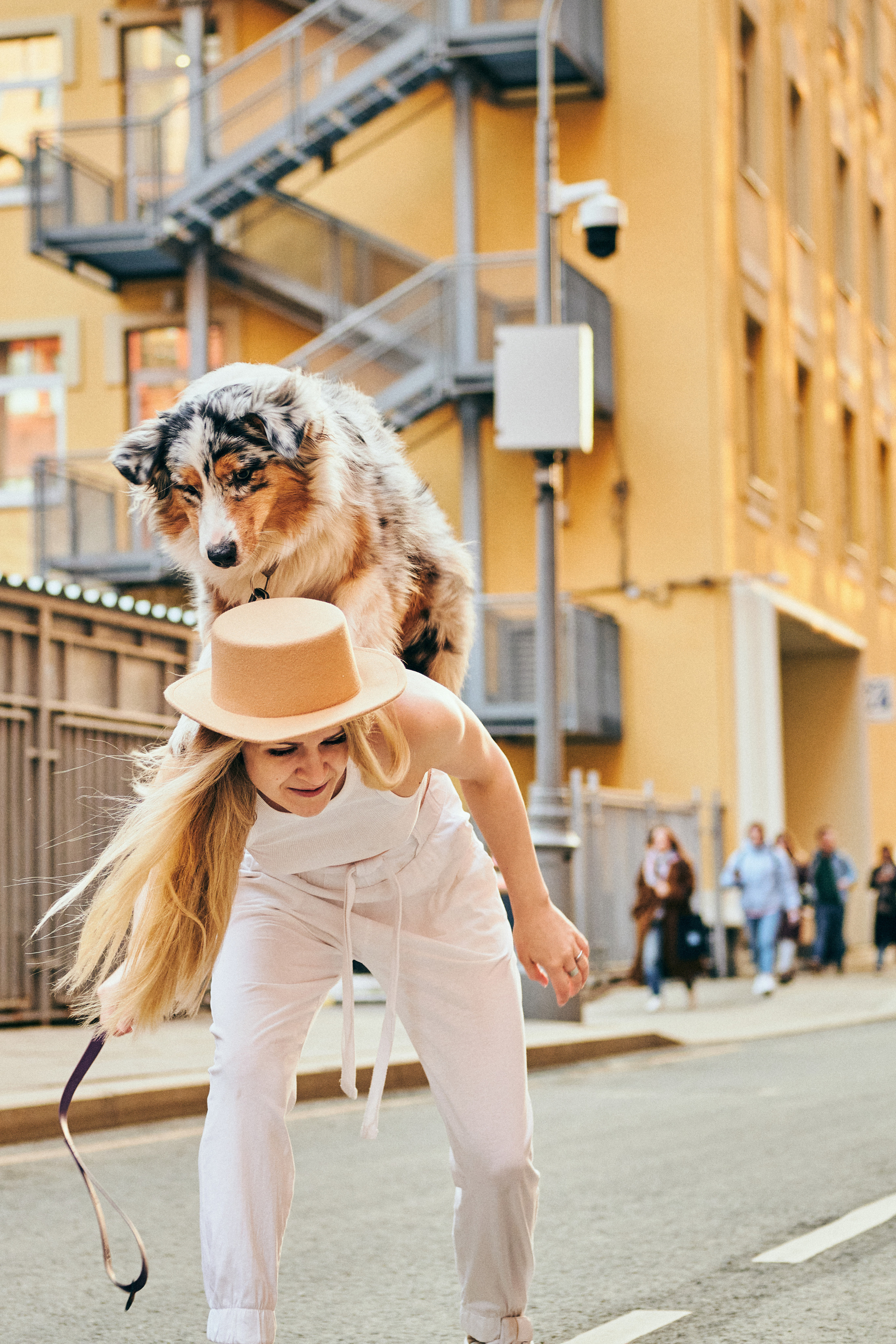 Фотосессия с собаками. Профессиональный фотограф в Москве — Максим Дьяконов