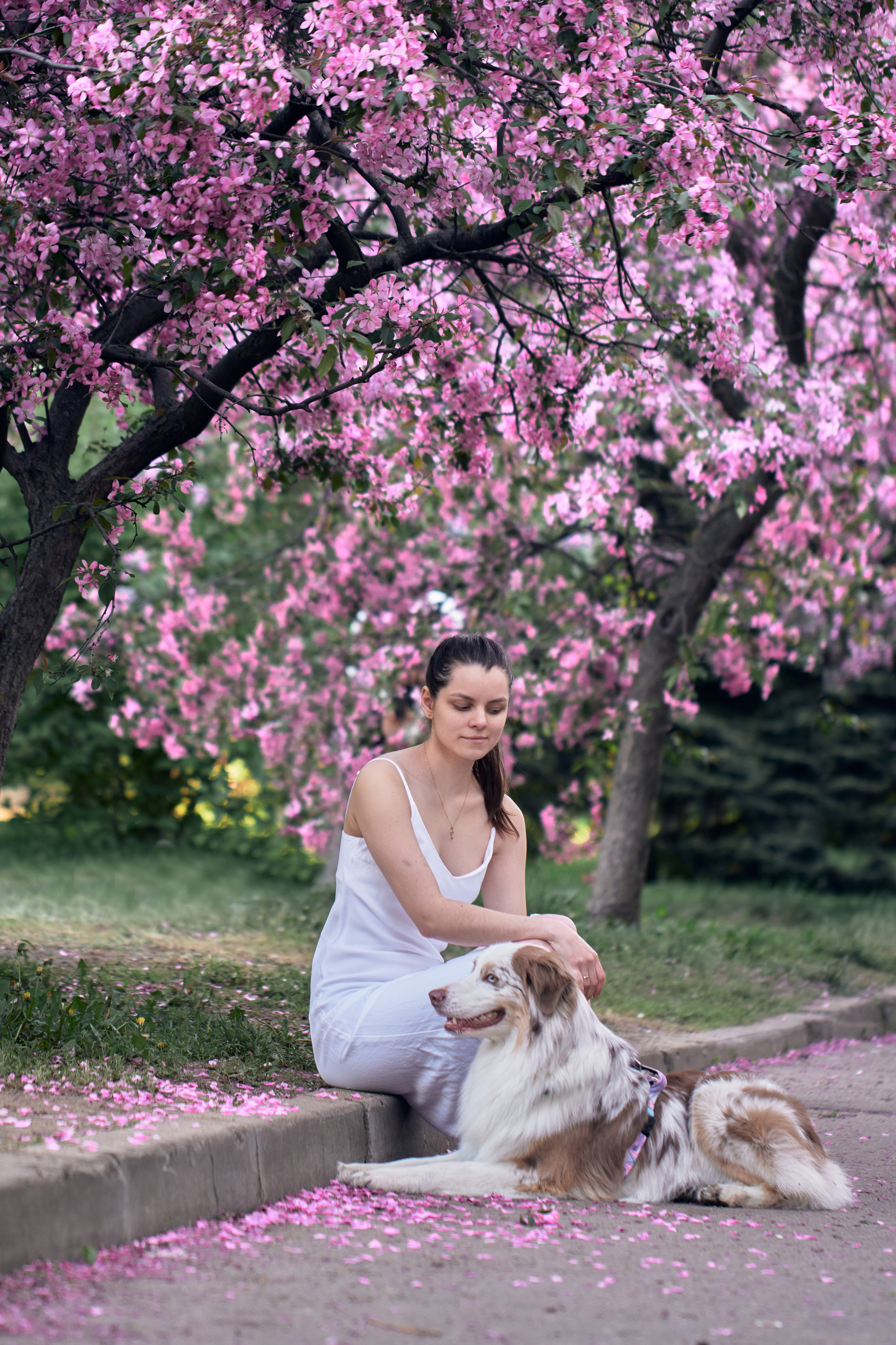 Фотосессия собаки с хозяйкой. Профессиональный фотограф в Москве — Максим Дьяконов