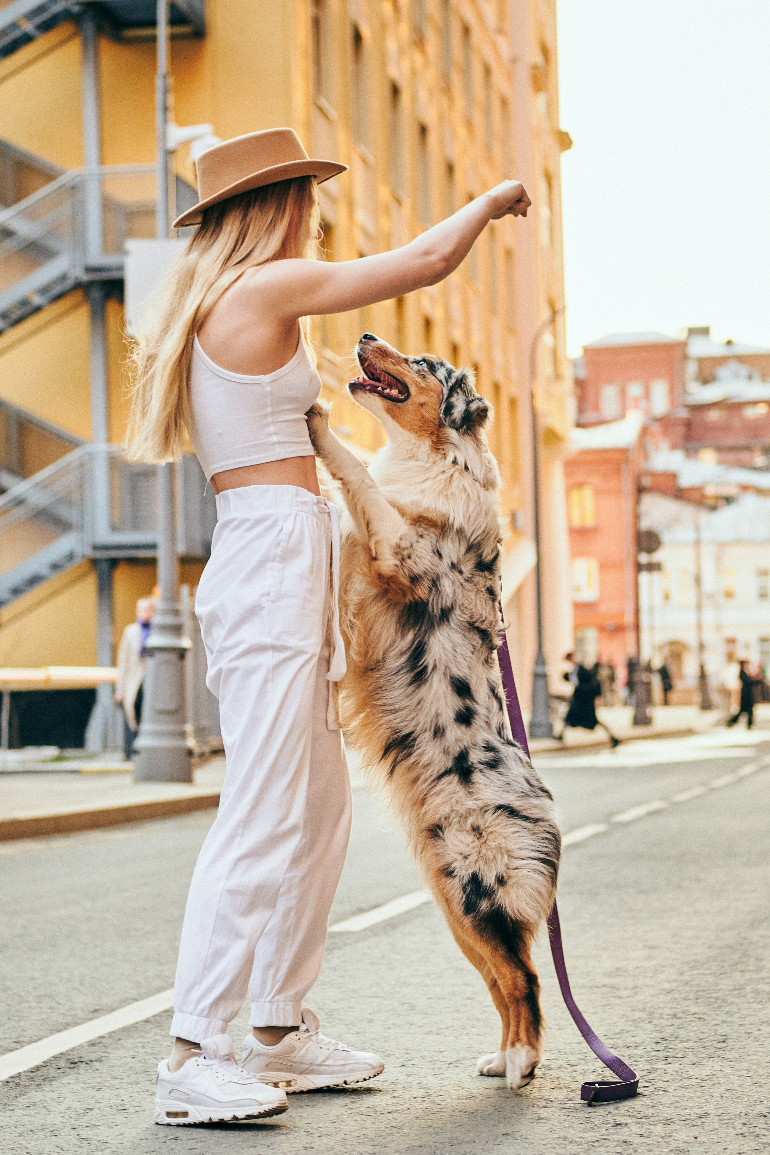 Фотосессия с собаками. Профессиональный фотограф в Москве — Максим Дьяконов