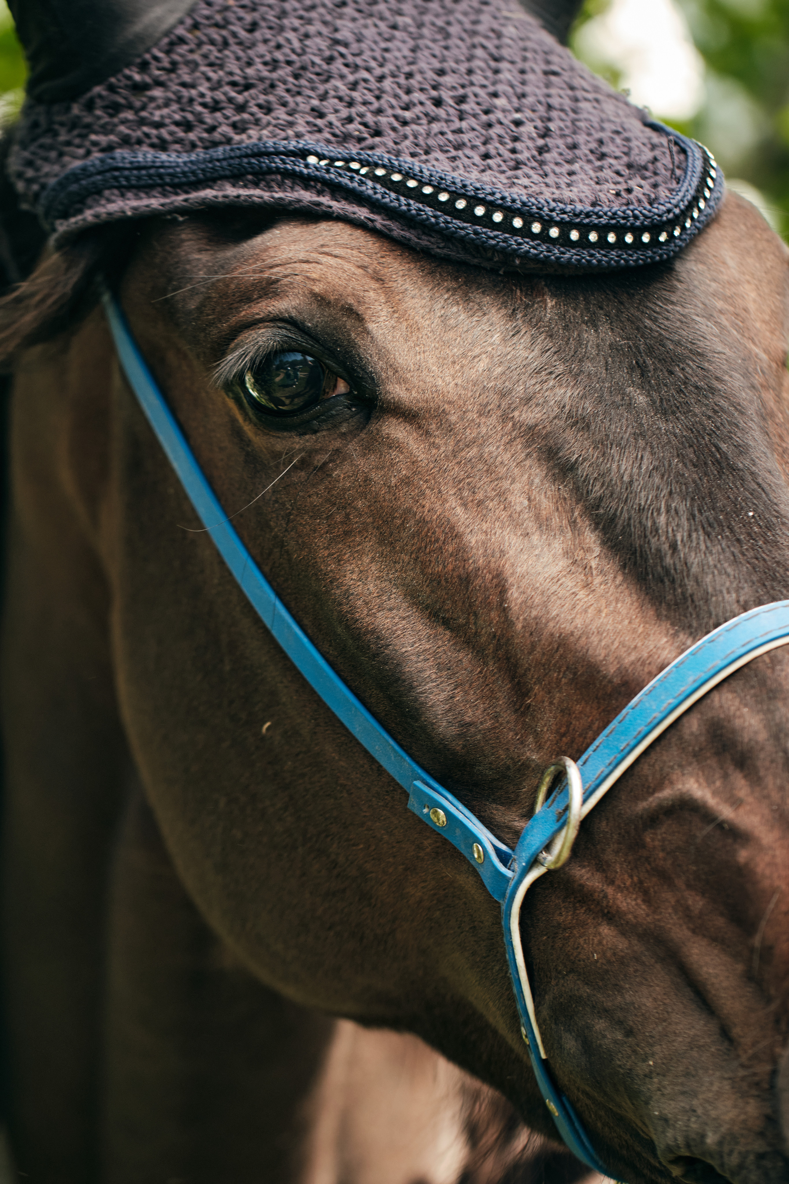 Фотосессия с лошадью. Профессиональный фотограф в Москве — Максим Дьяконов