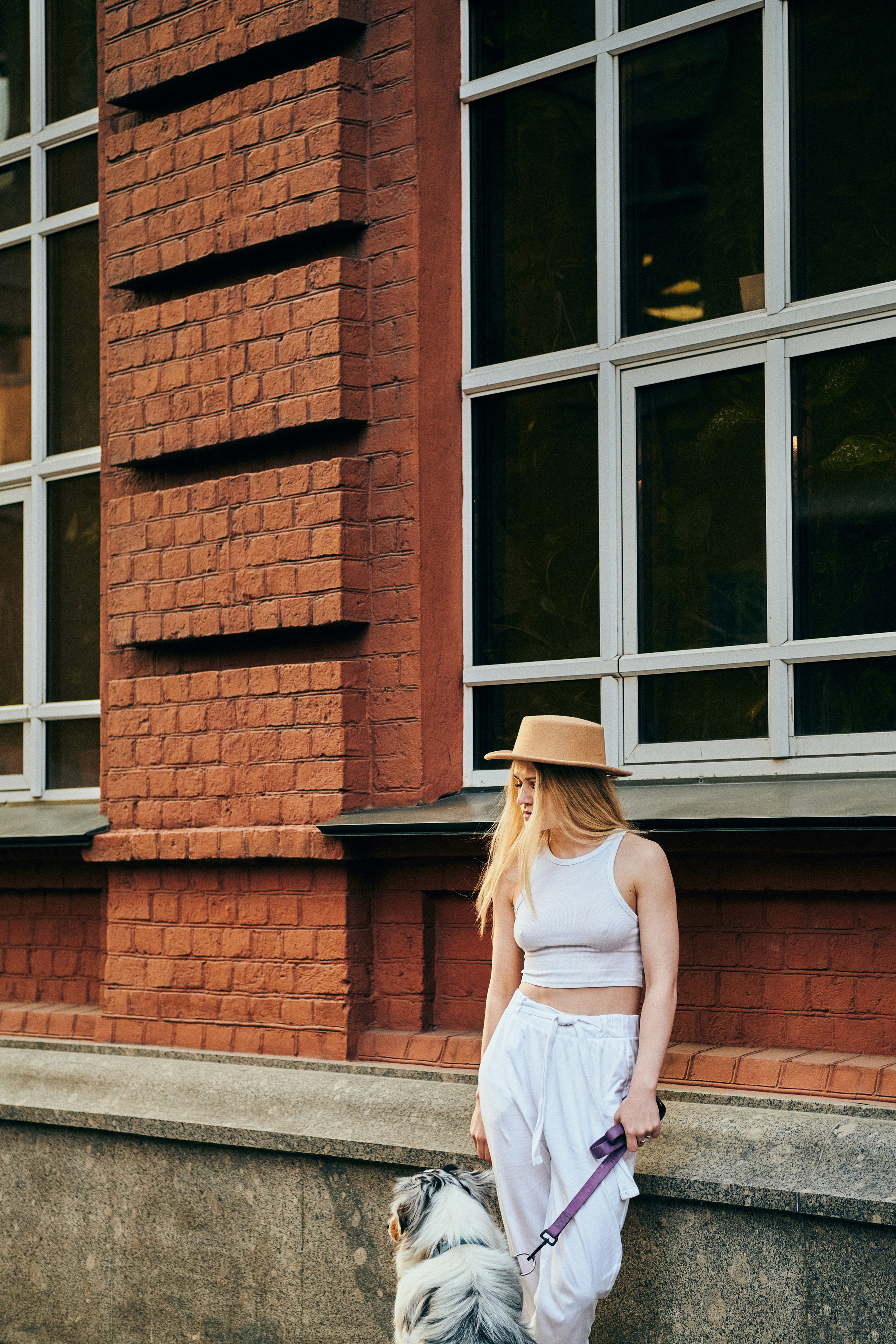 Фотосессия с собаками. Профессиональный фотограф в Москве — Максим Дьяконов