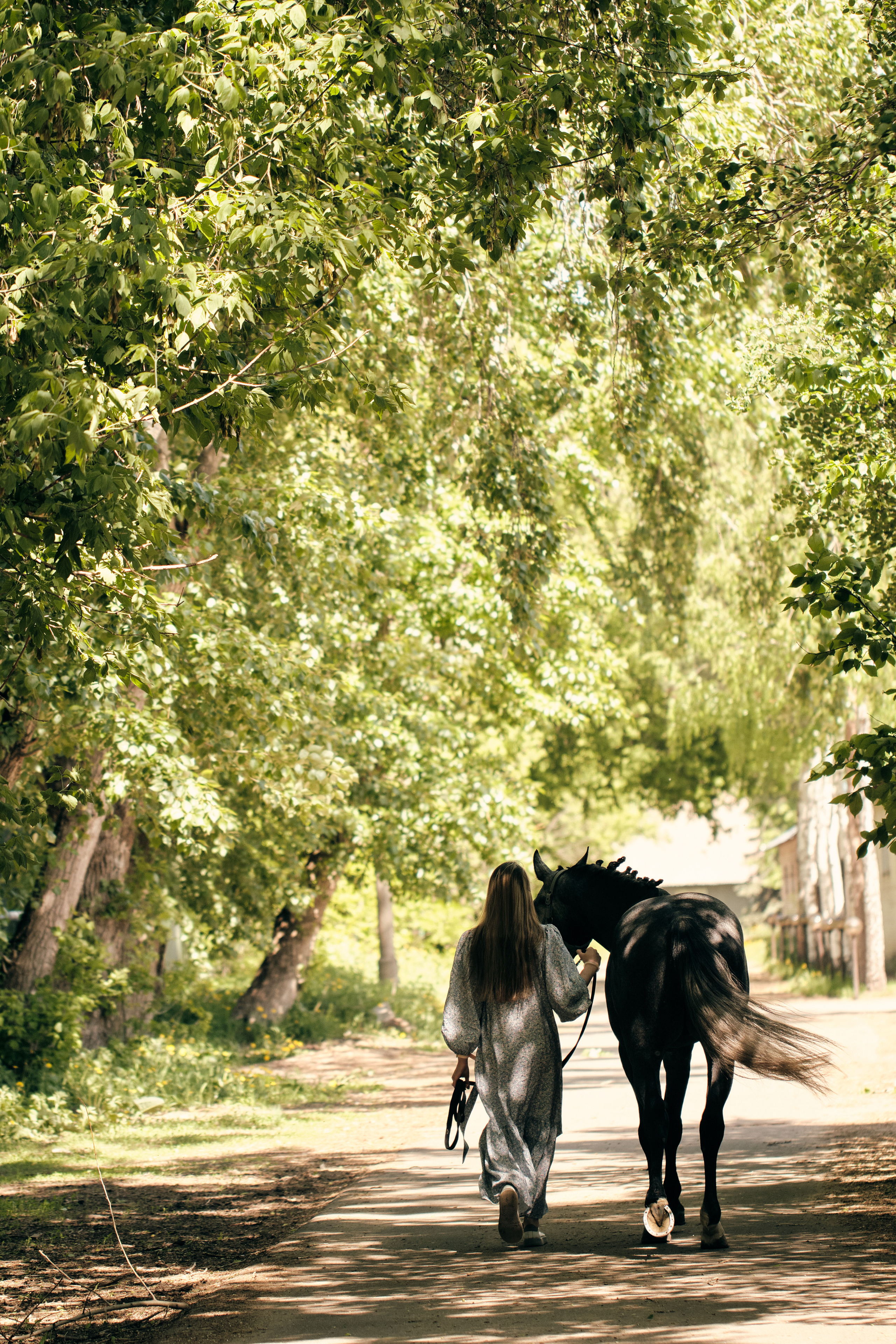 Фотосессия с лошадью. Профессиональный фотограф в Москве — Максим Дьяконов