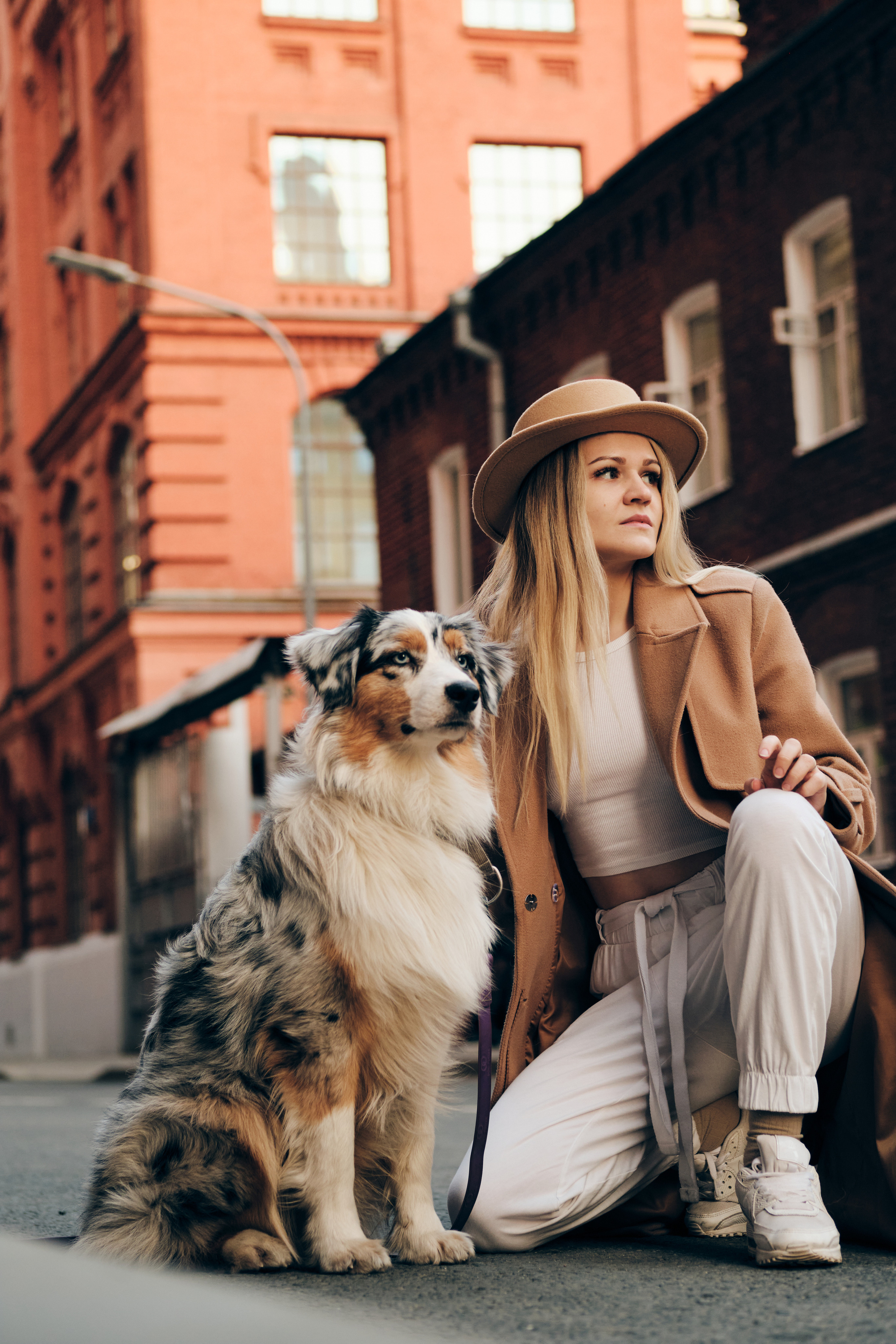 Фотосессия с собаками. Профессиональный фотограф в Москве — Максим Дьяконов