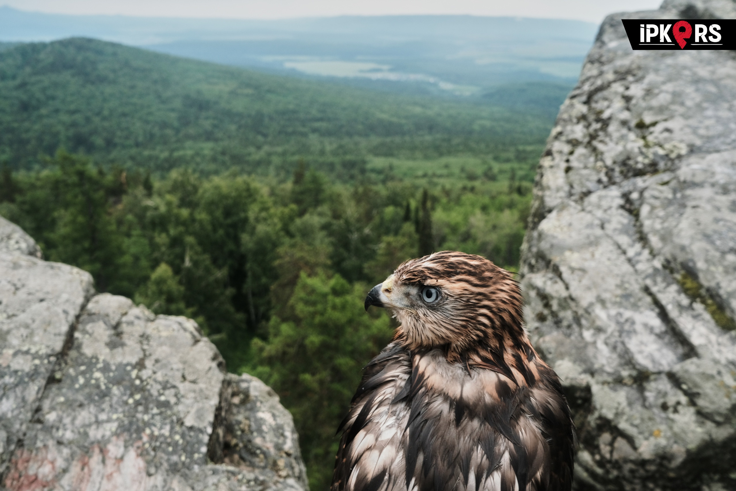 Фотосъемка мероприятий  в Москве и московской области. Профессиональный фотограф в Москве — Максим Дьяконов