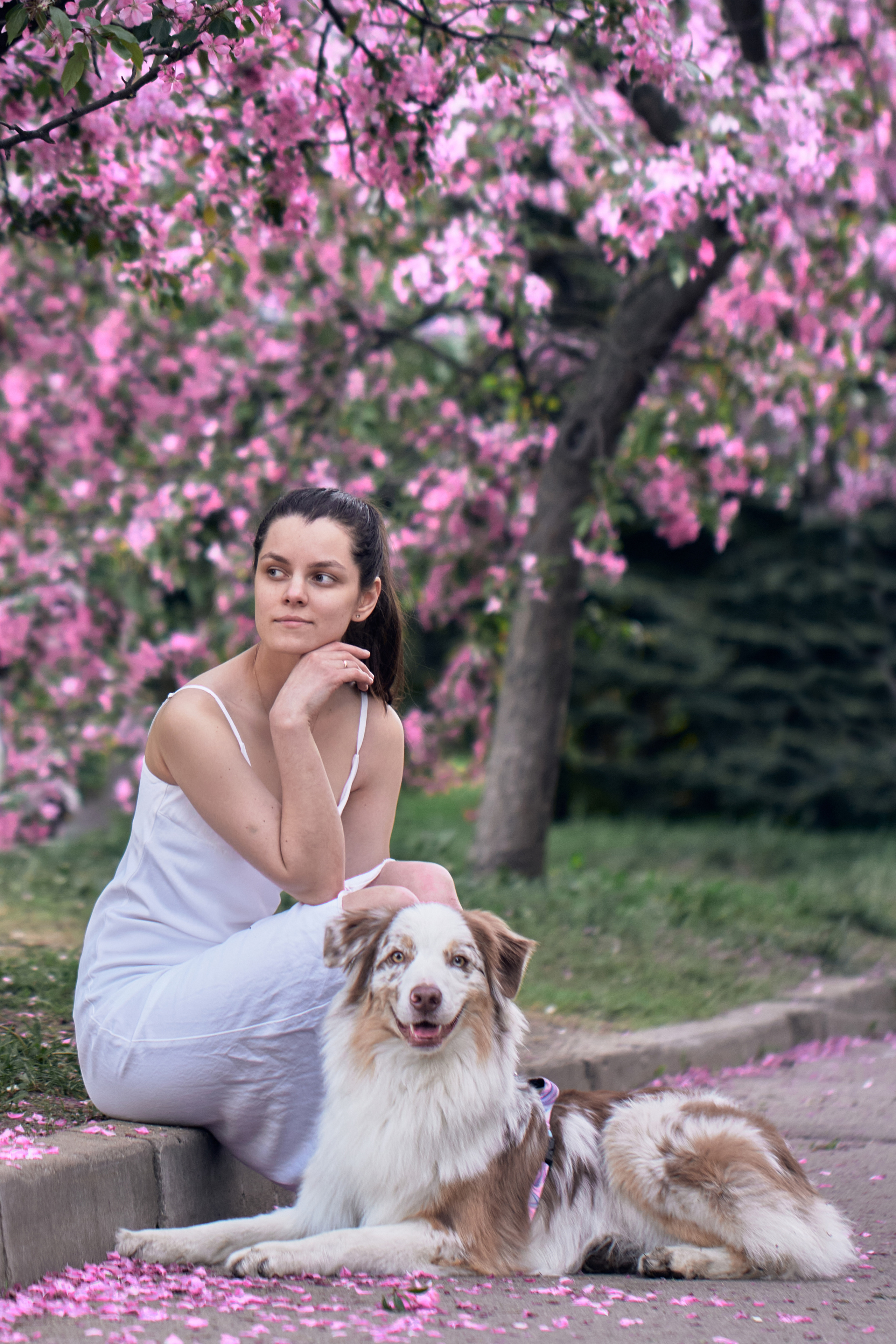 Фотосессия собаки с хозяйкой. Профессиональный фотограф в Москве — Максим Дьяконов