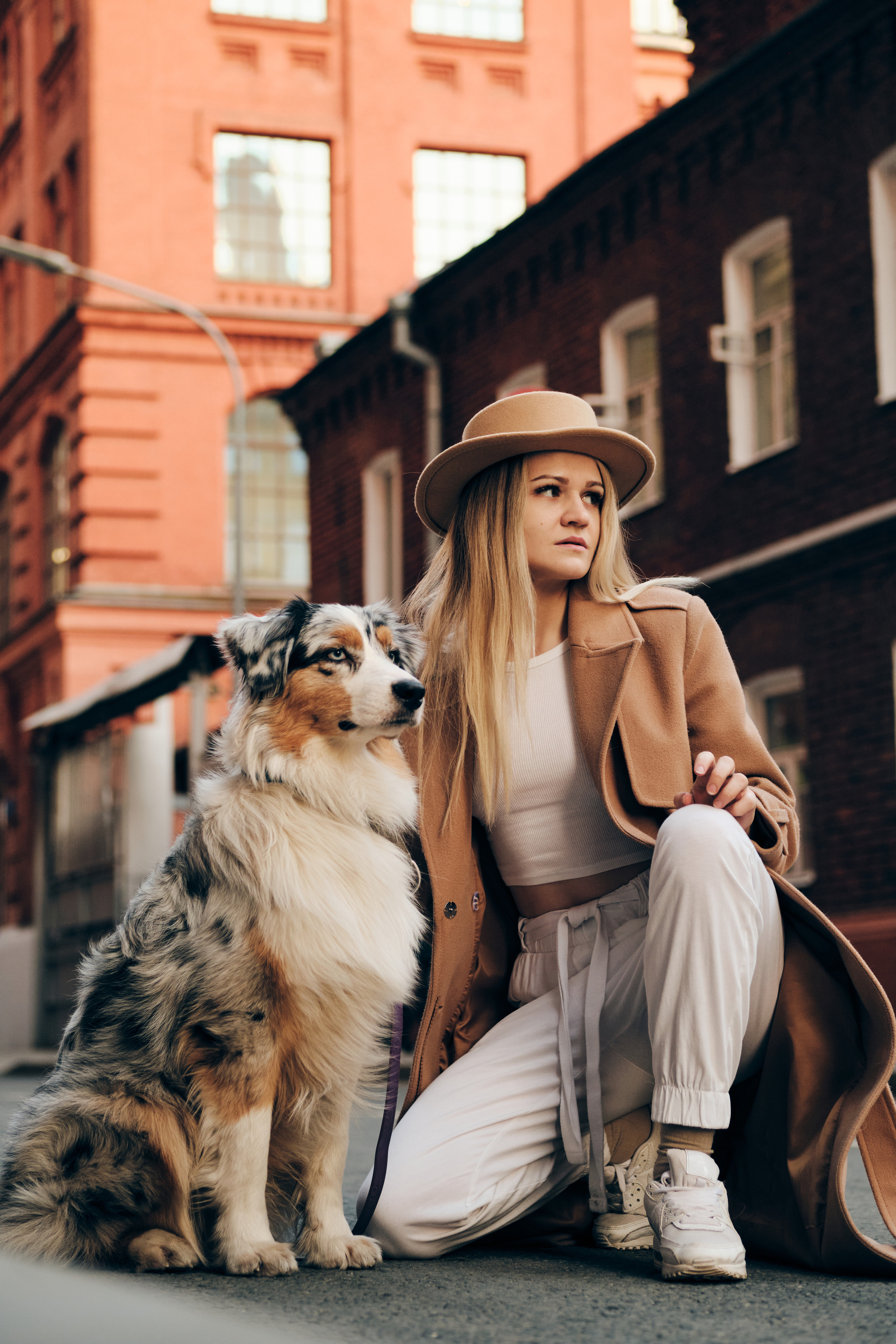 Фотосессия с собаками. Профессиональный фотограф в Москве — Максим Дьяконов