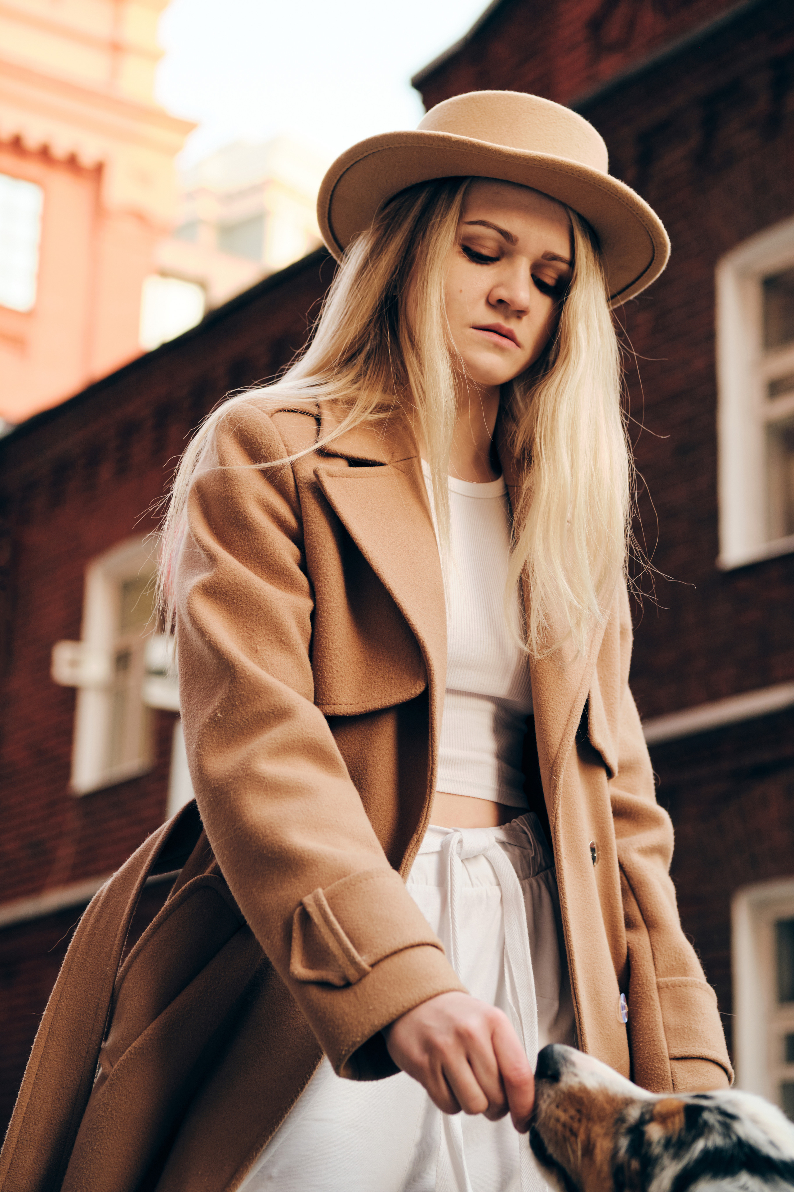 Фотосессия с собаками. Профессиональный фотограф в Москве — Максим Дьяконов