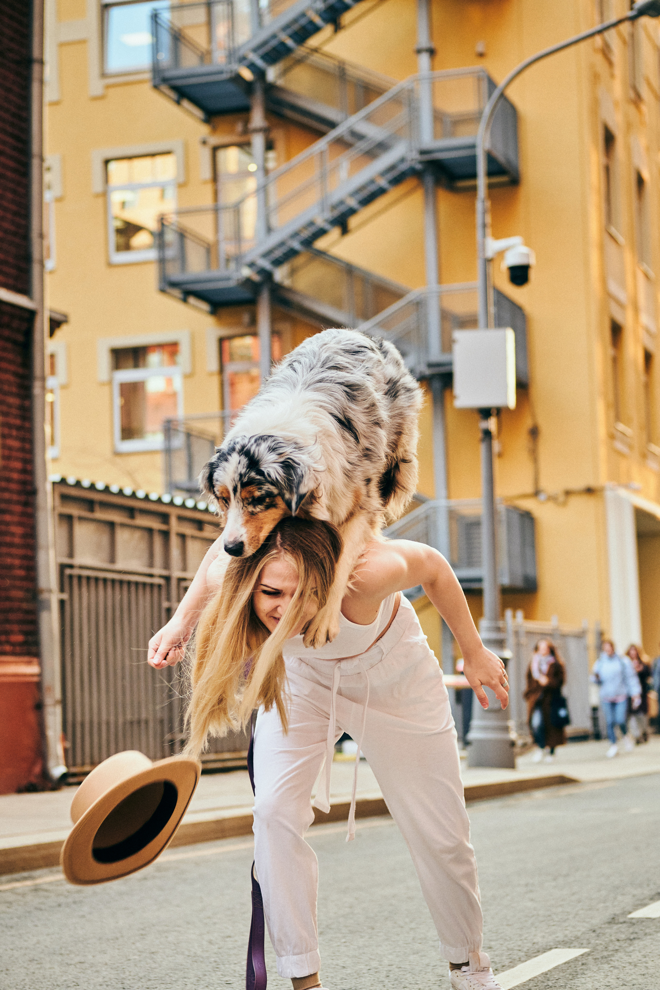 Фотосессия с собаками. Профессиональный фотограф в Москве — Максим Дьяконов