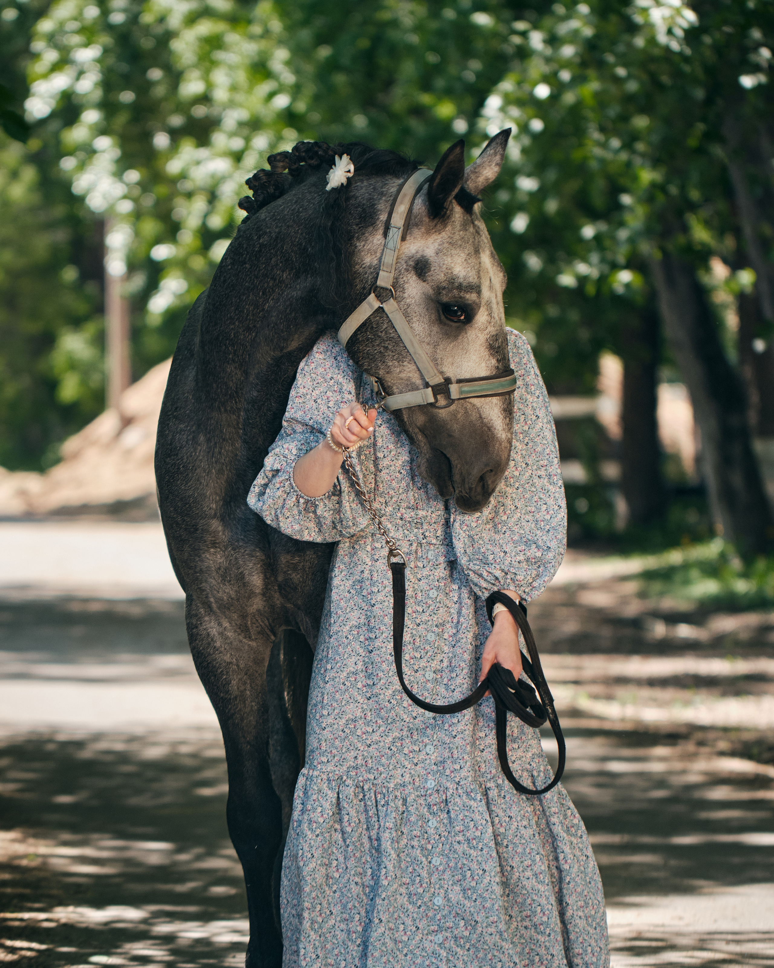 Фотосессия с лошадью. Профессиональный фотограф в Москве — Максим Дьяконов