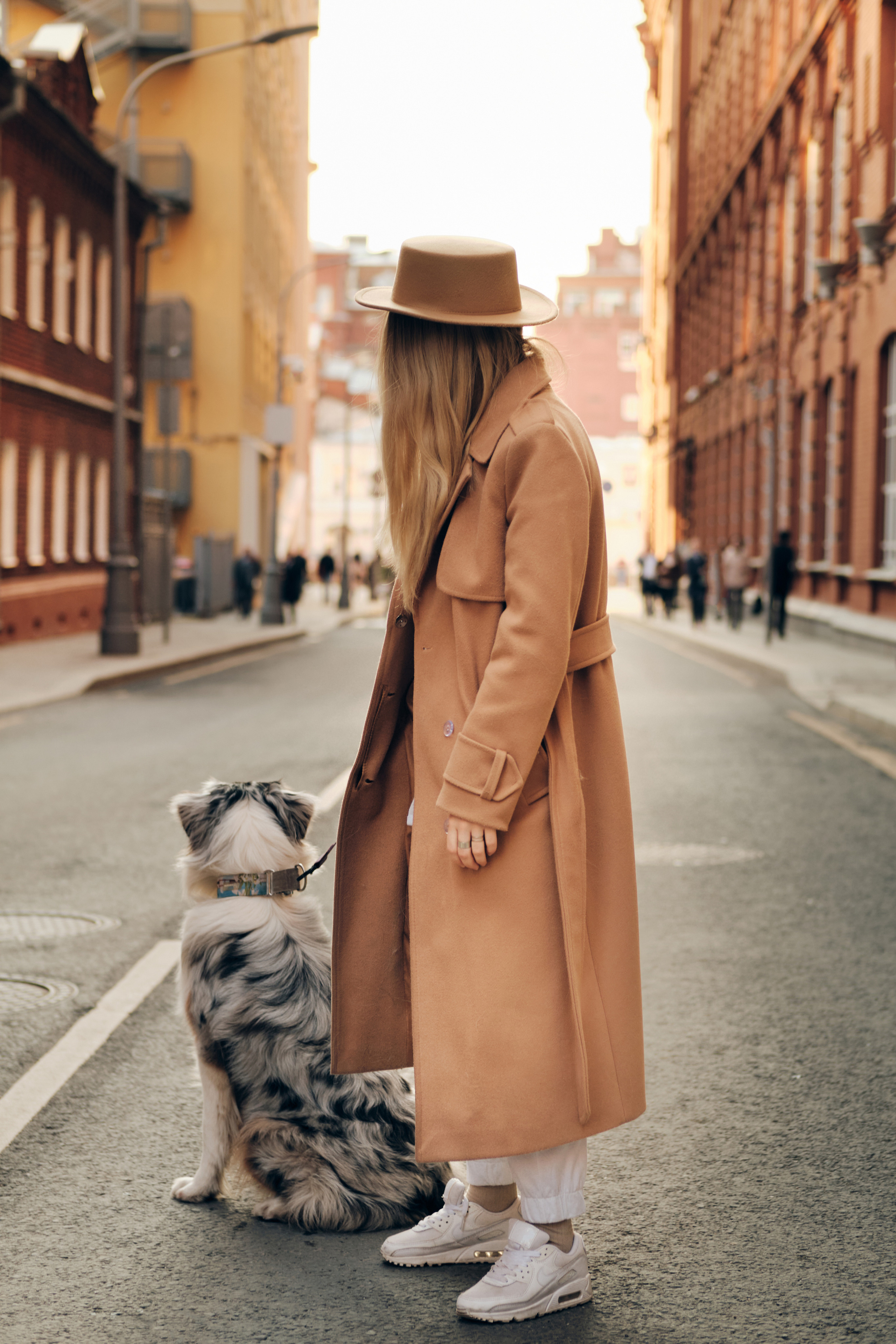 Фотосессия с собаками. Профессиональный фотограф в Москве — Максим Дьяконов