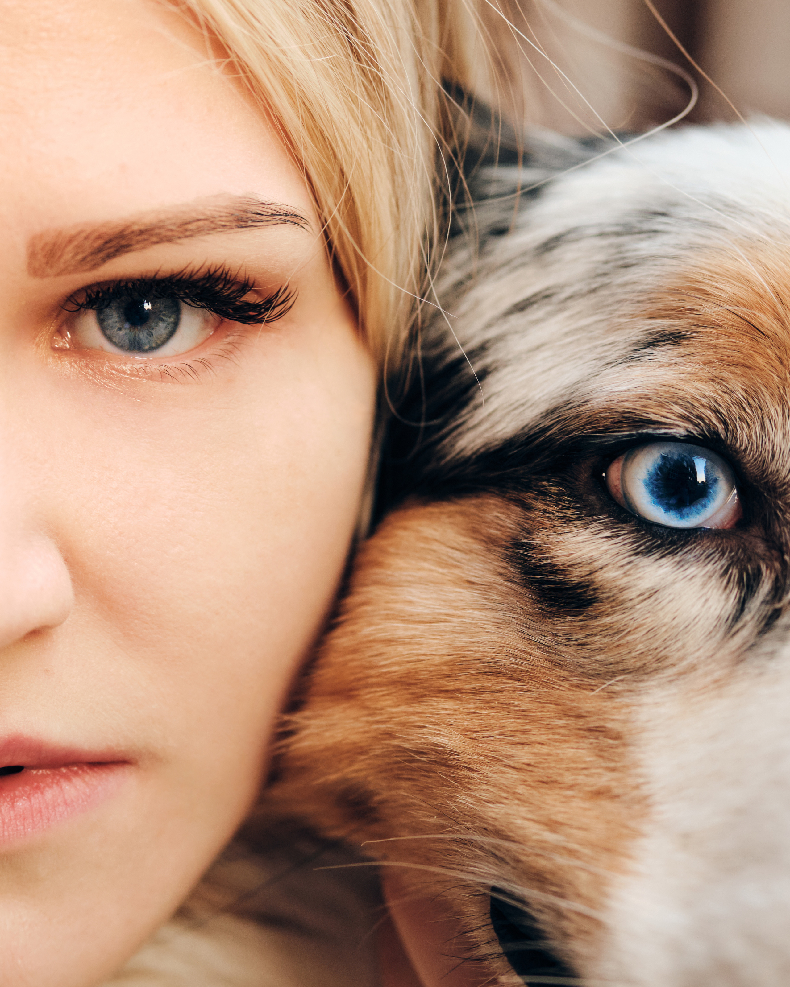 Фотосессия с собаками. Профессиональный фотограф в Москве — Максим Дьяконов