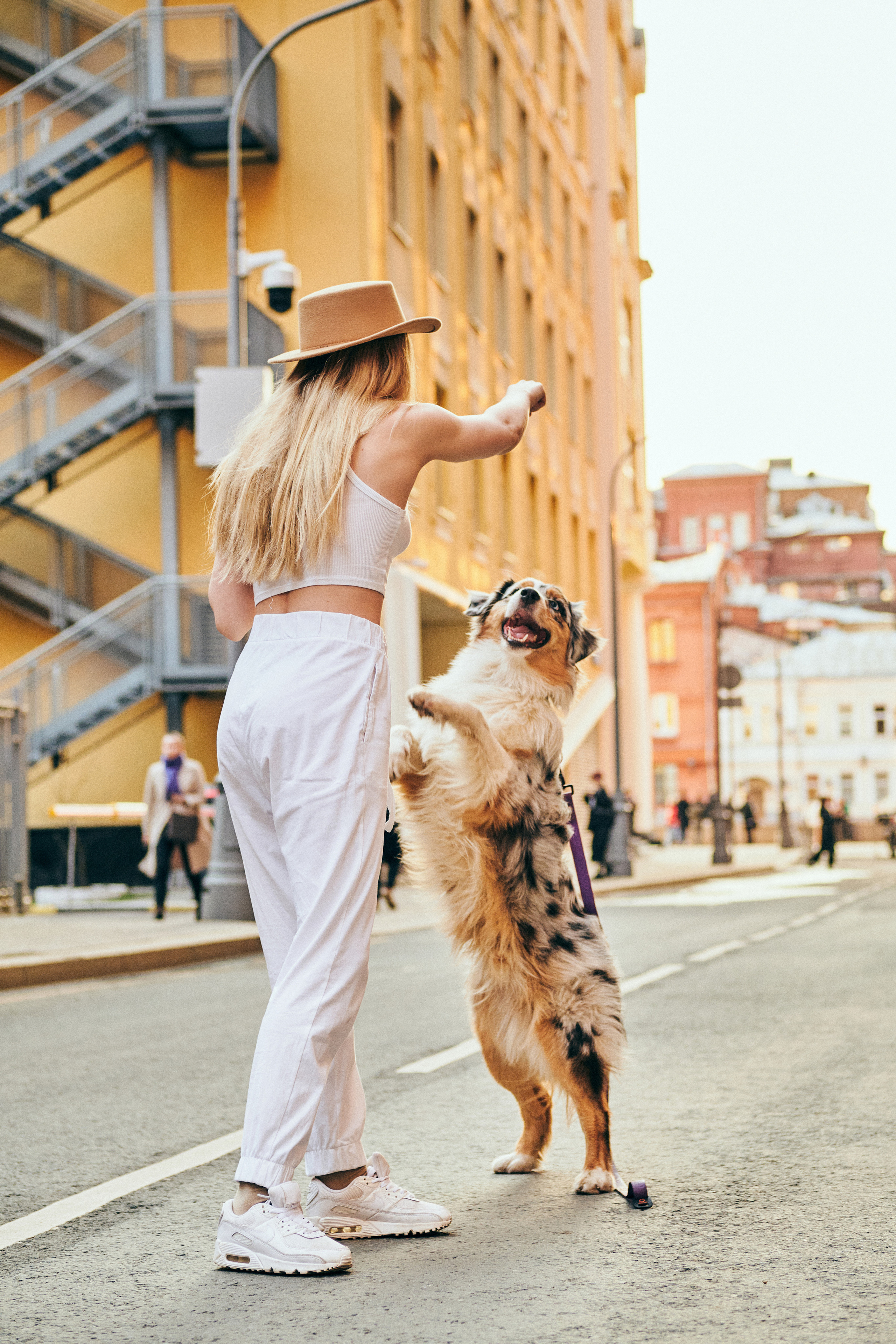 Фотосессия с собаками. Профессиональный фотограф в Москве — Максим Дьяконов