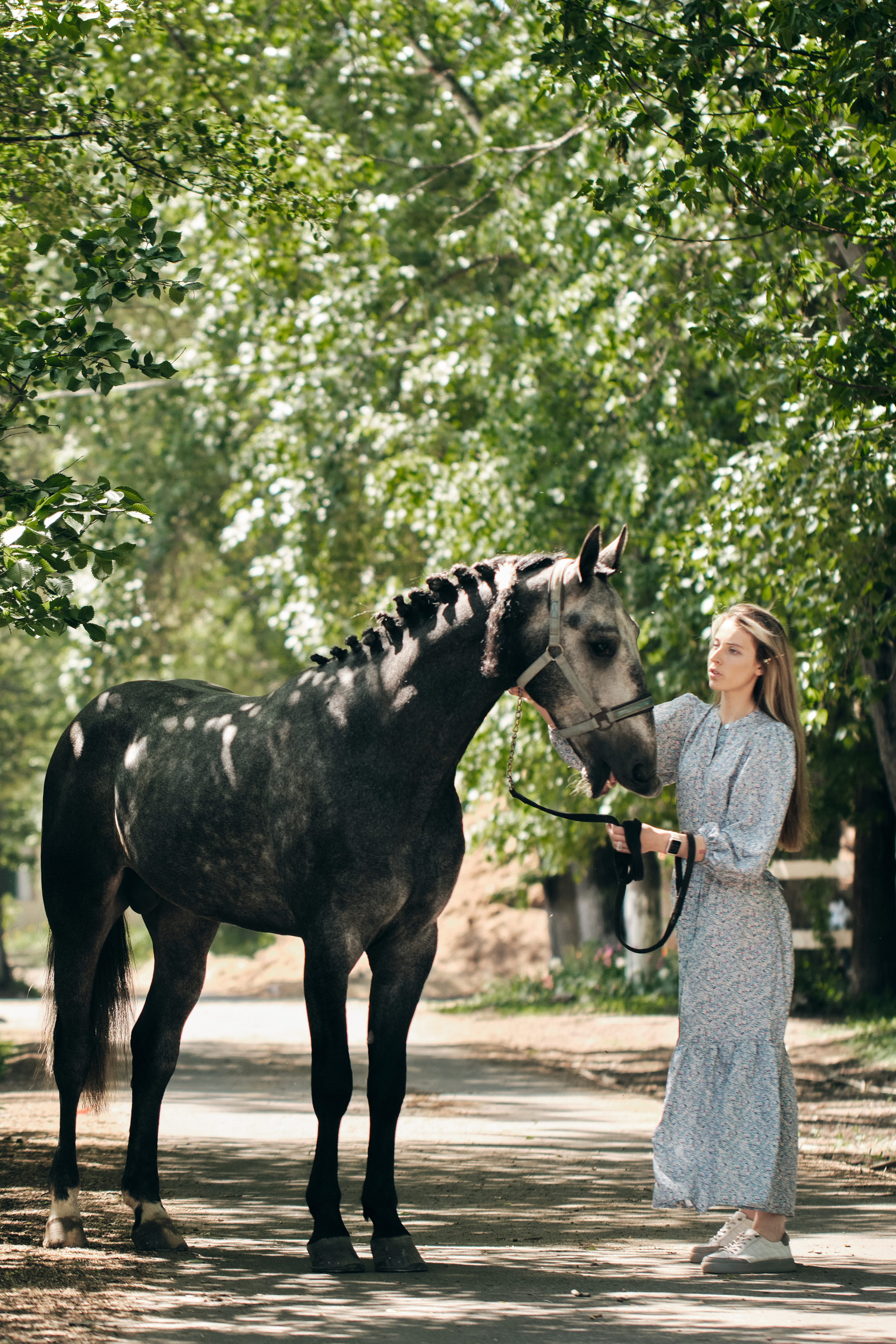 Фотосессия с лошадью. Профессиональный фотограф в Москве — Максим Дьяконов