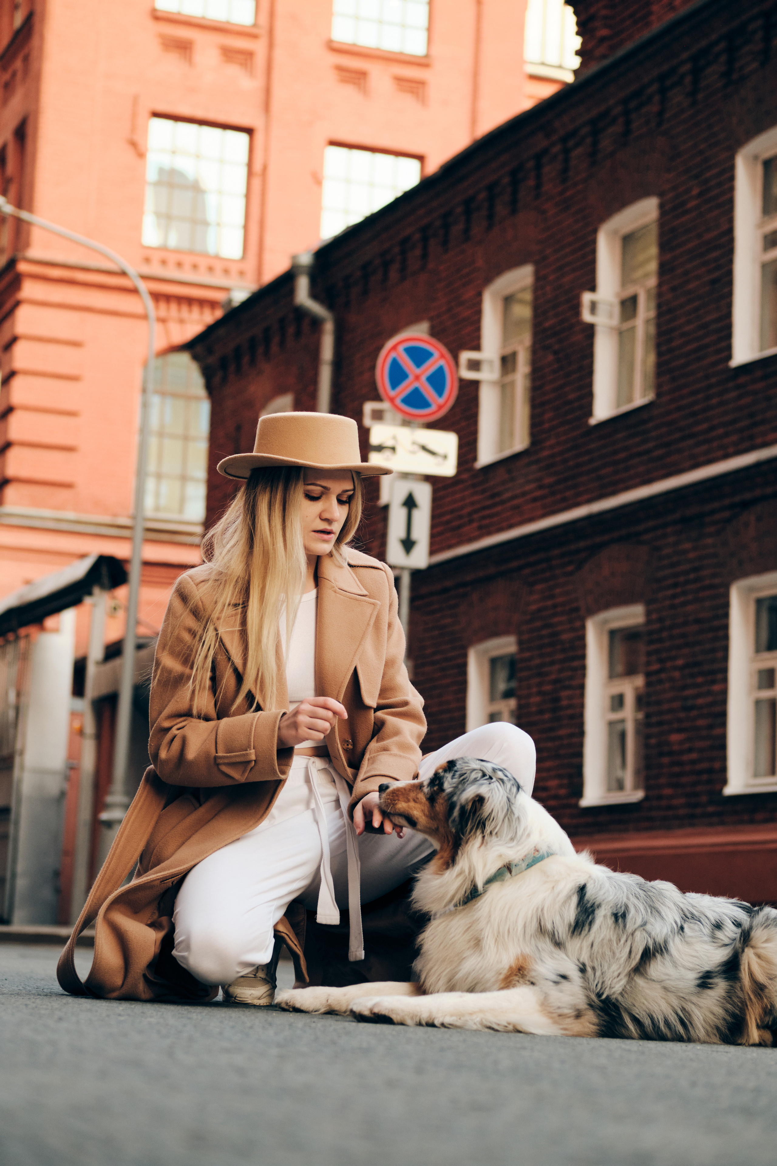Фотосессия с собаками. Профессиональный фотограф в Москве — Максим Дьяконов