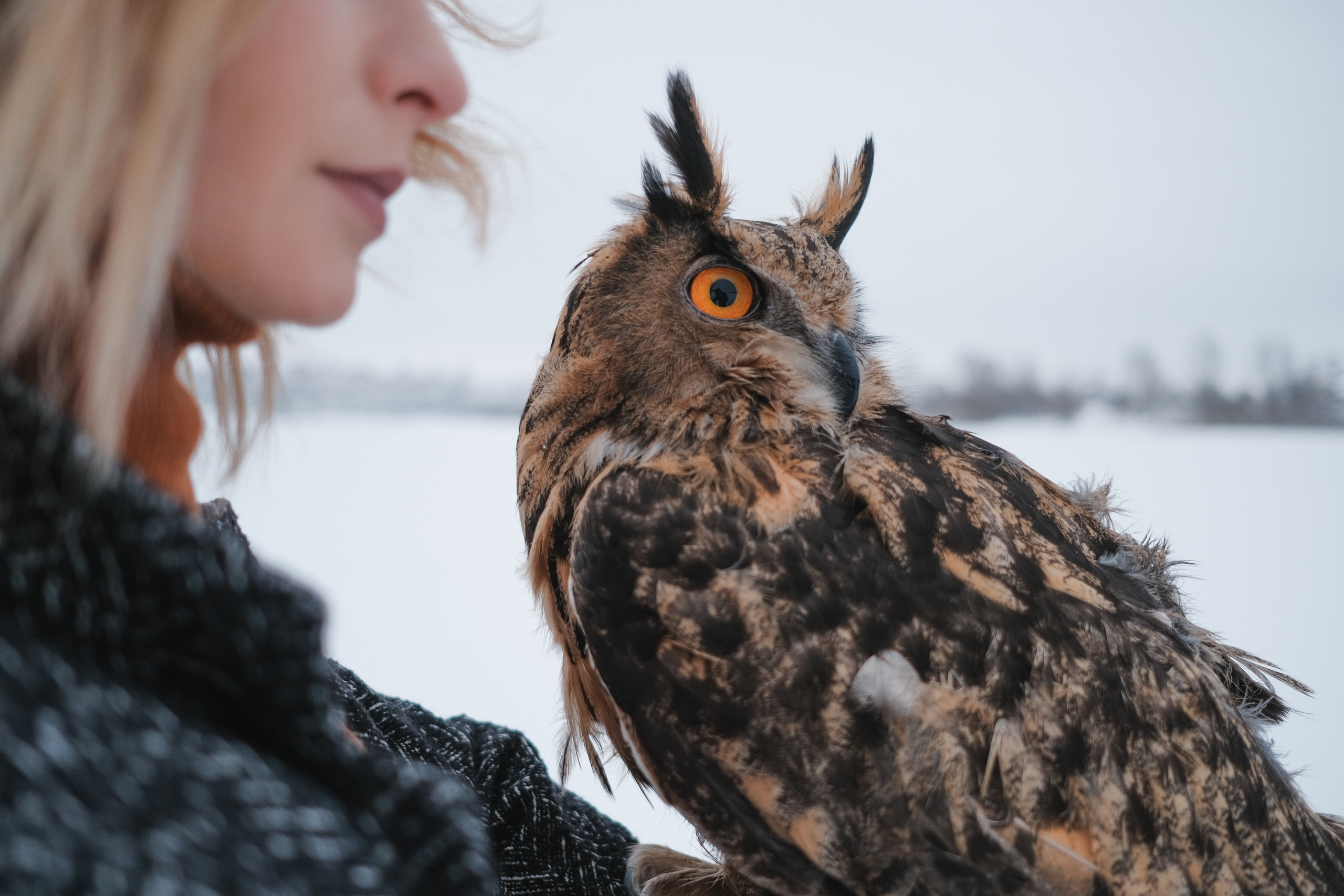 Фотограф животных в Москве и московской области. Профессиональный фотограф в Москве — Максим Дьяконов