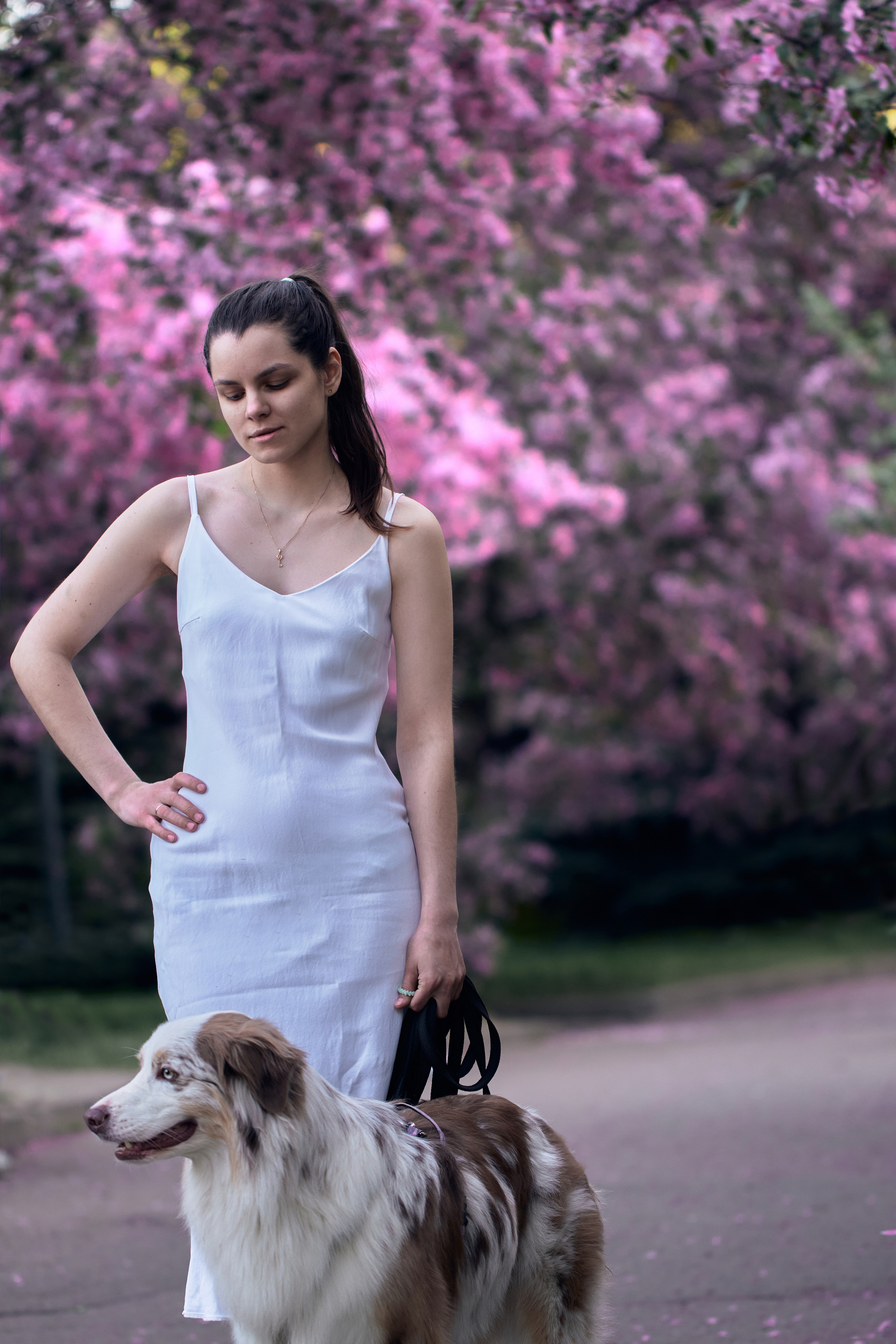Фотосессия собаки с хозяйкой. Профессиональный фотограф в Москве — Максим Дьяконов