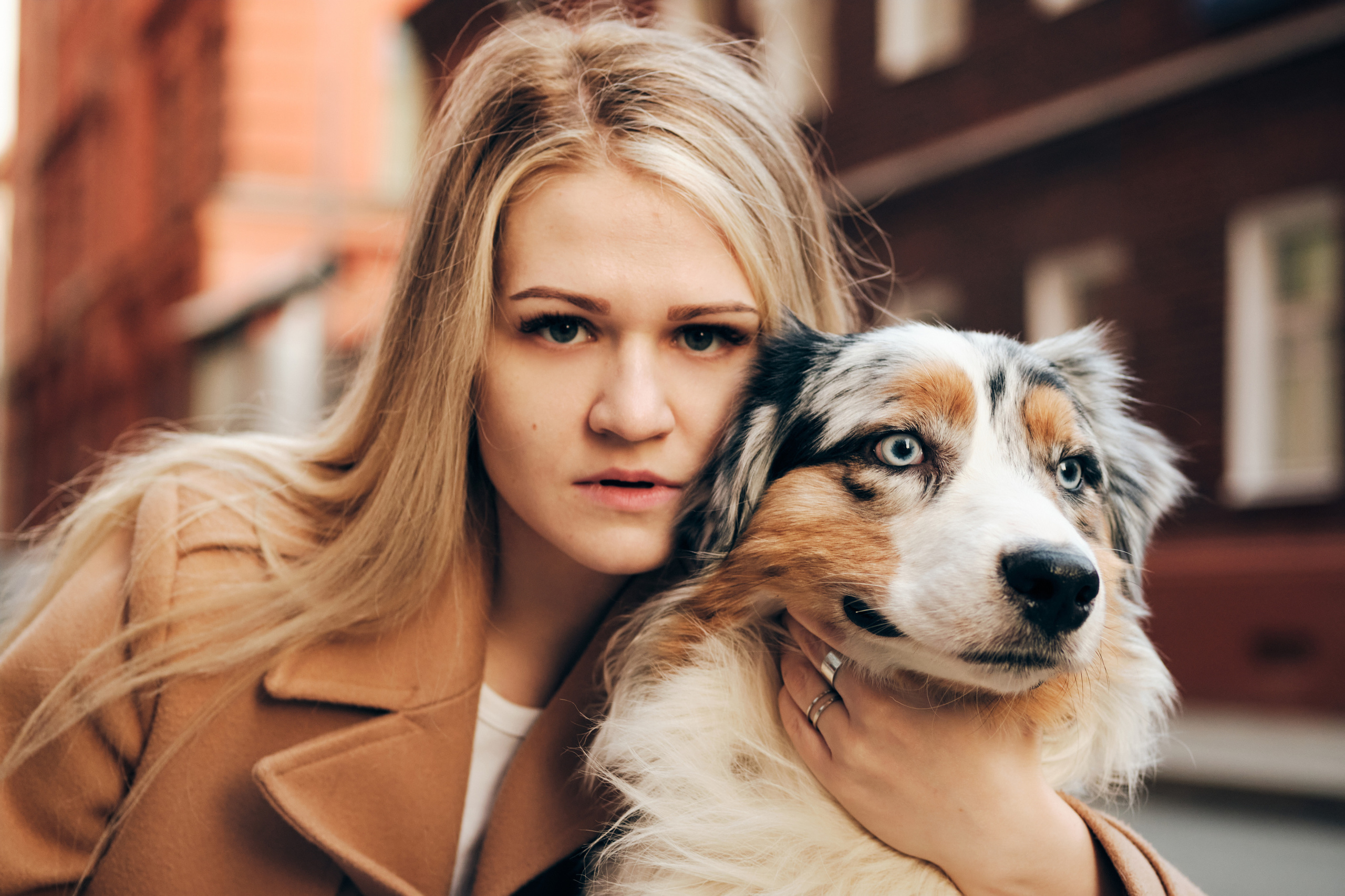 Фотосессия с собаками. Профессиональный фотограф в Москве — Максим Дьяконов