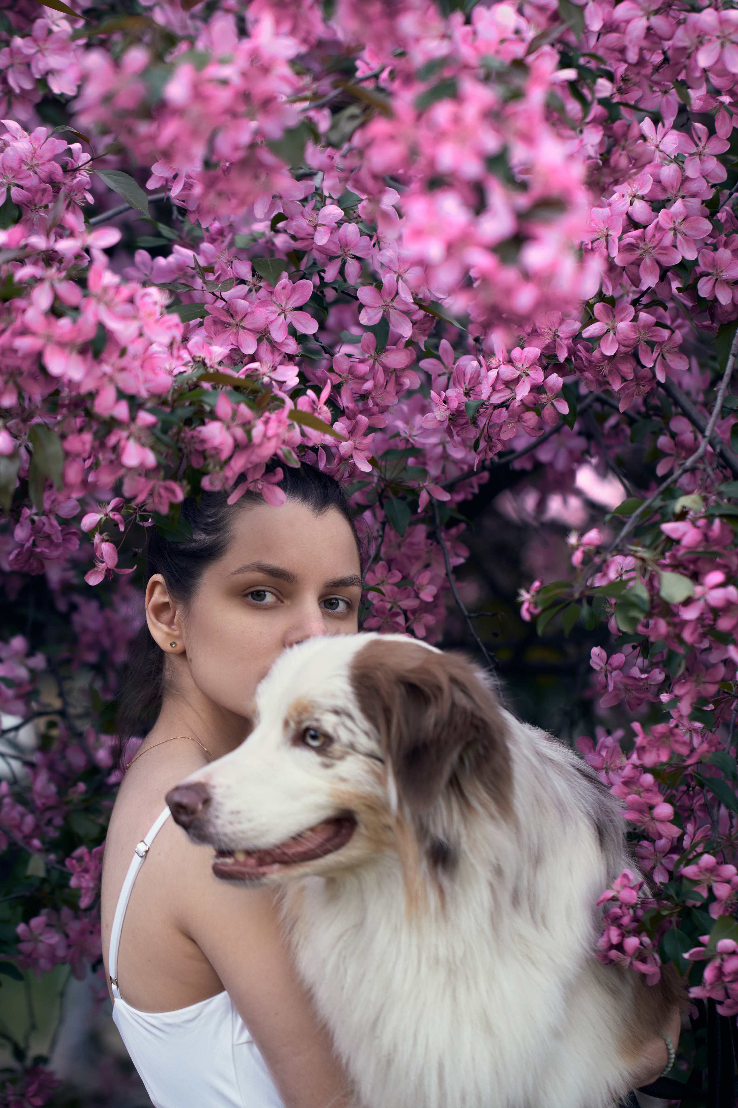 Фотосессия собаки с хозяйкой. Профессиональный фотограф в Москве — Максим Дьяконов
