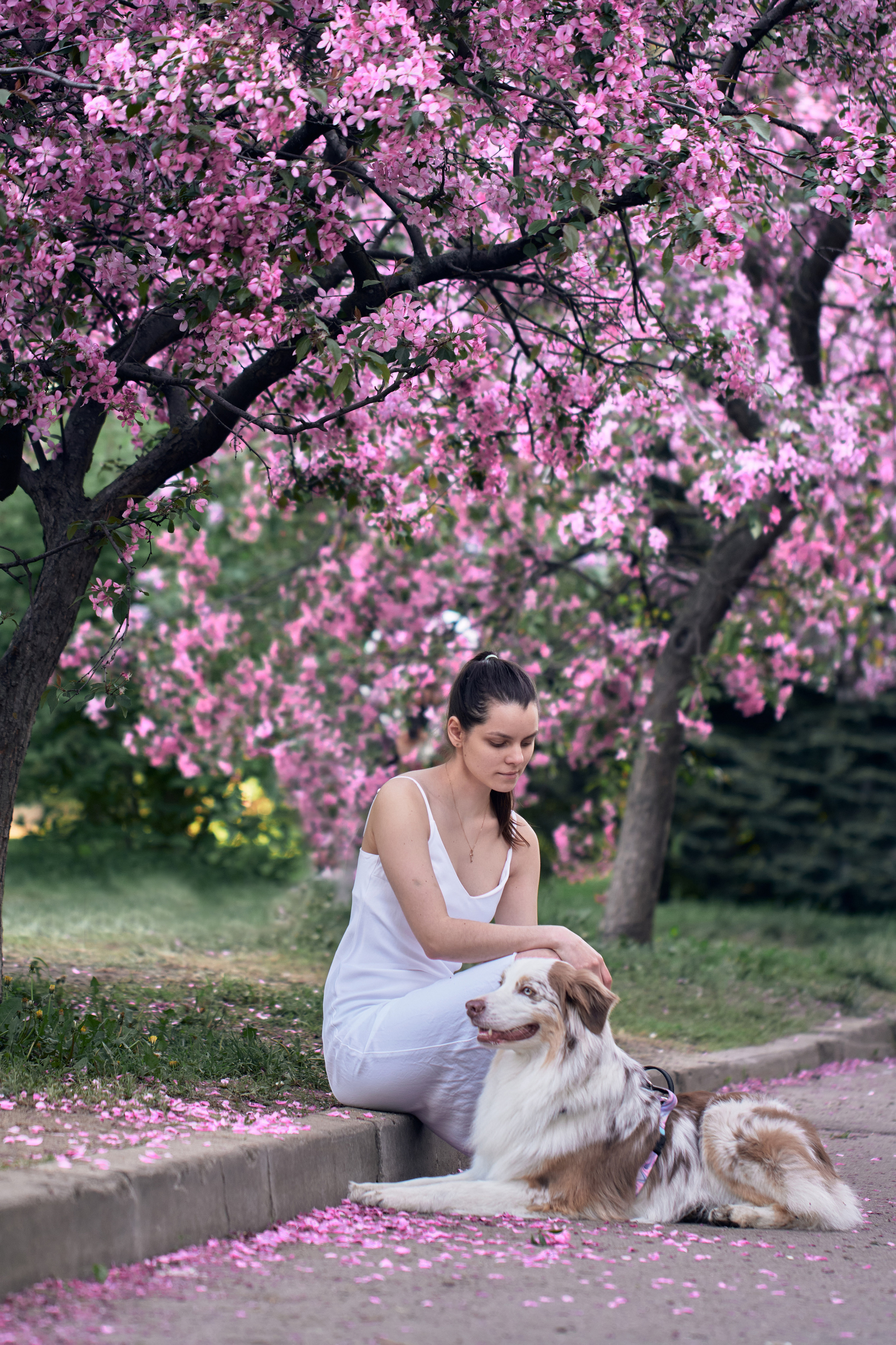 Фотосессия собаки с хозяйкой. Профессиональный фотограф в Москве — Максим Дьяконов