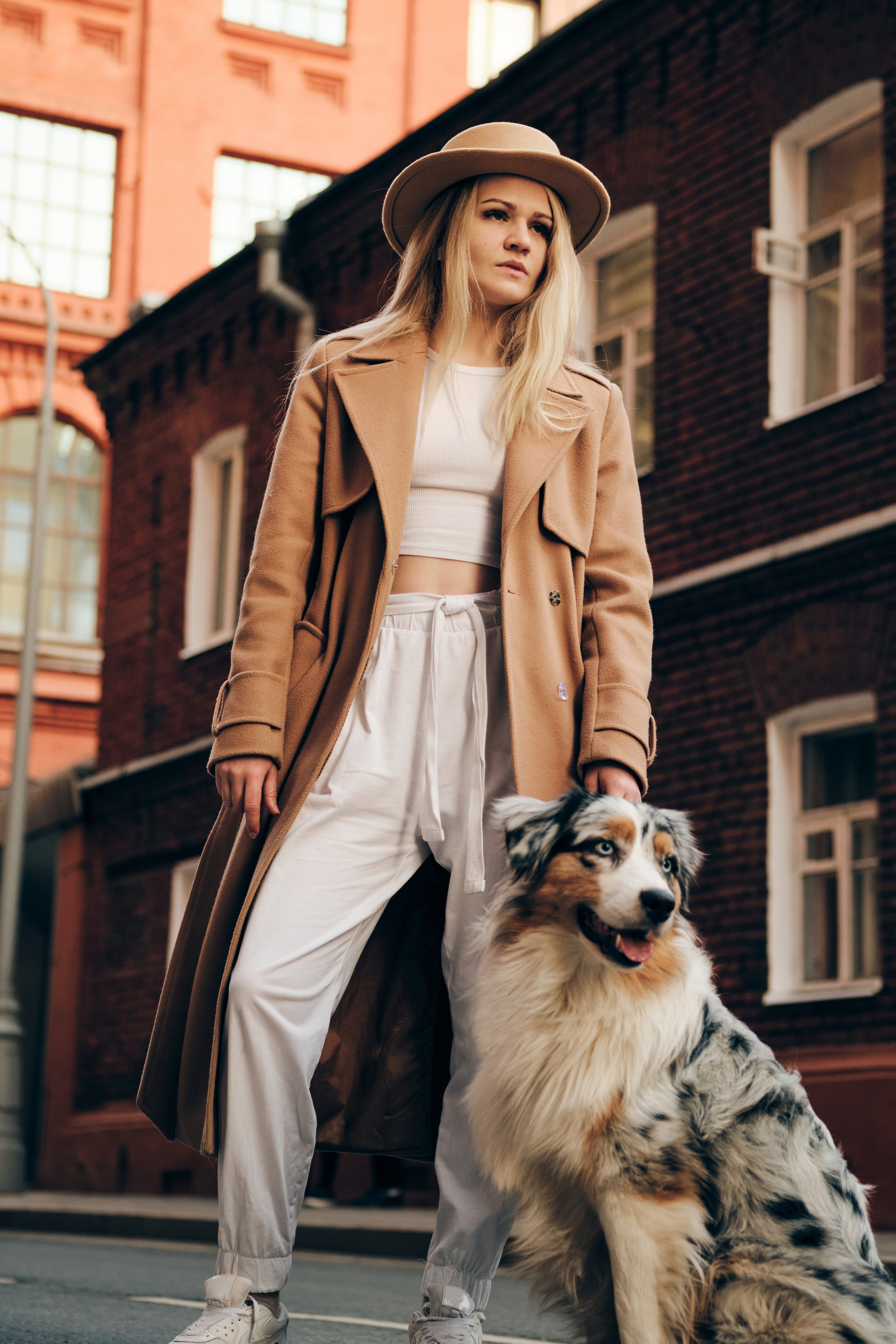 Фотосессия с собаками. Профессиональный фотограф в Москве — Максим Дьяконов