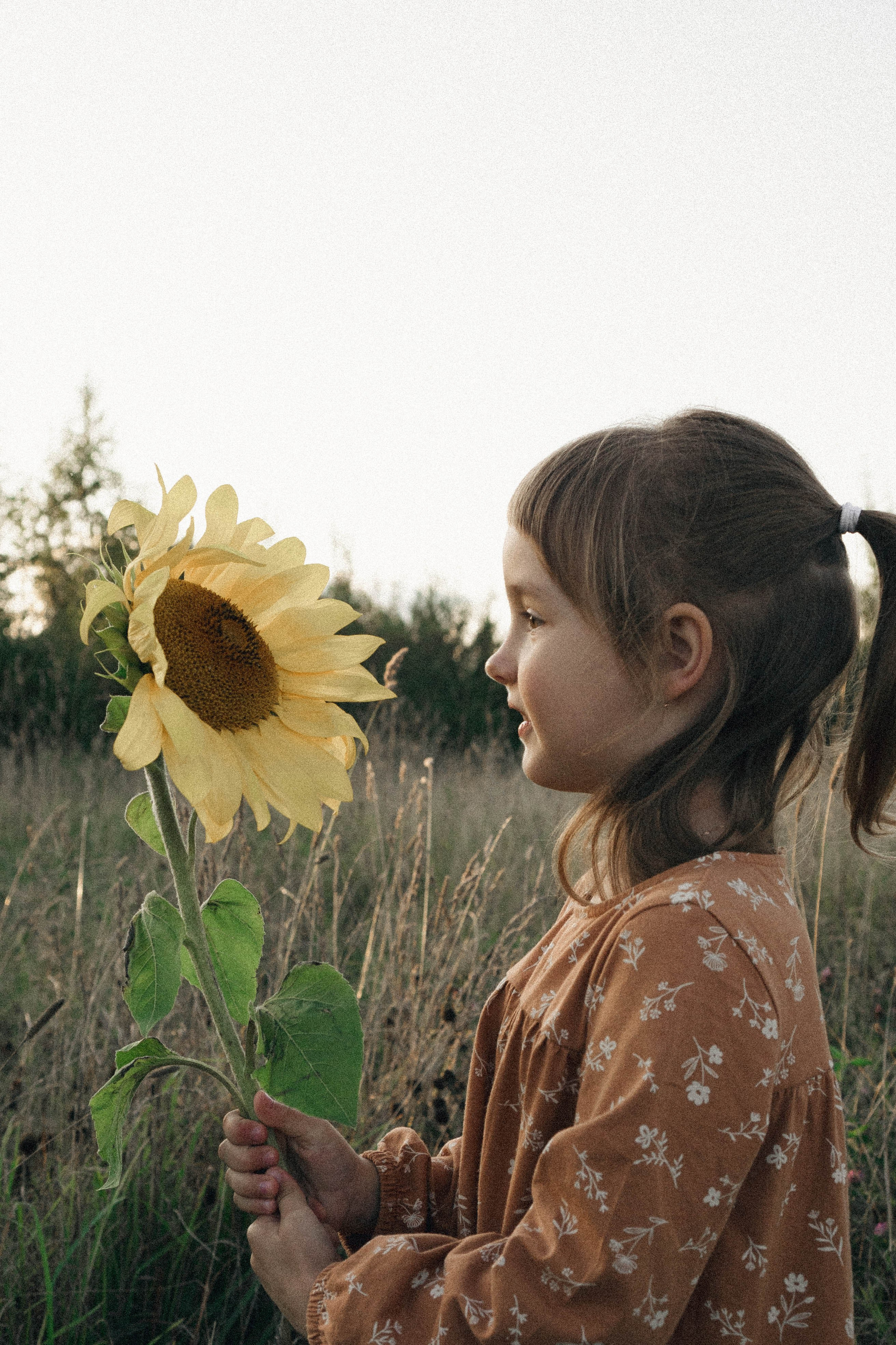 Семейная серия. Профессиональный фотограф, Санкт-Петербург — Виктория Богомолова