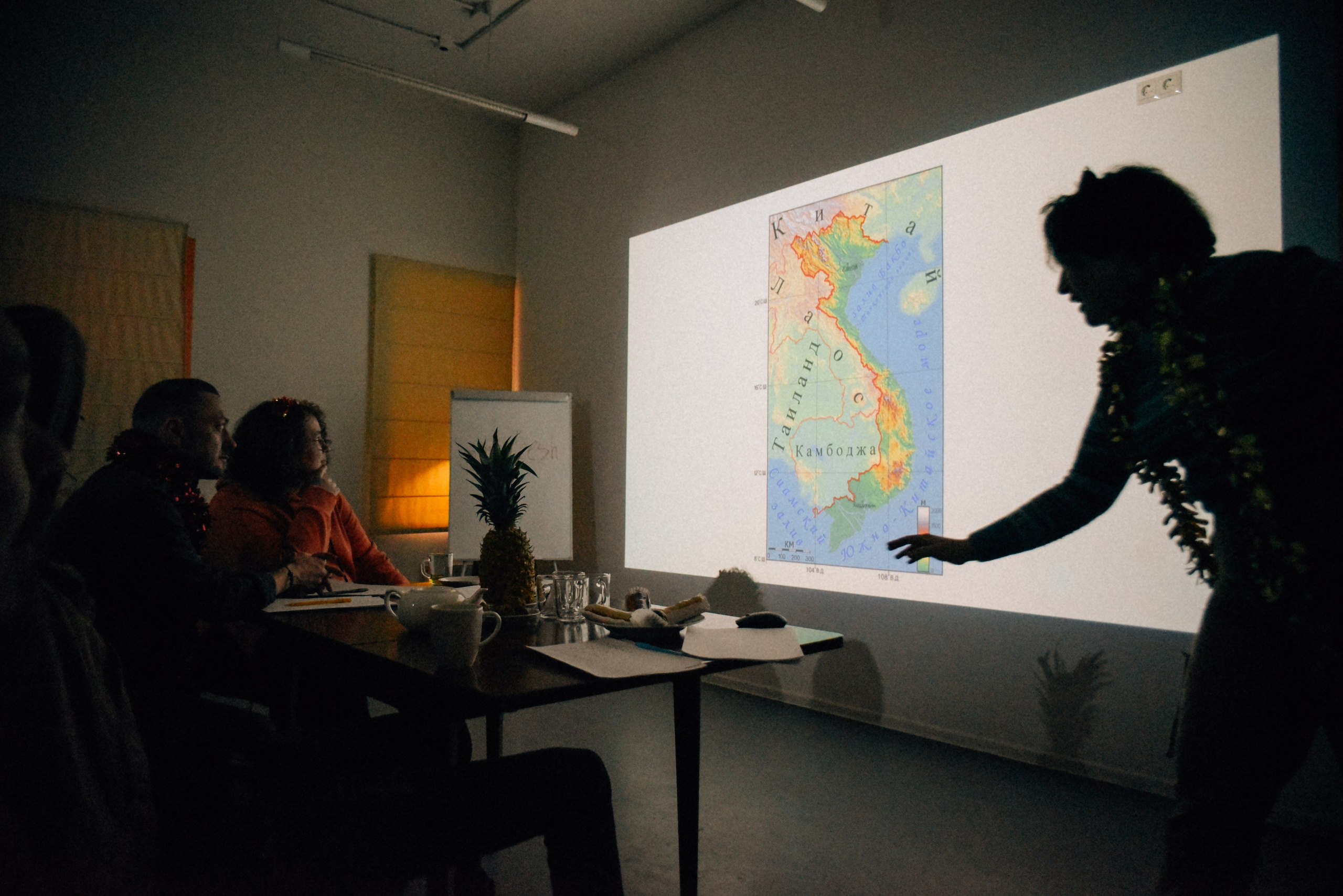 ЧТО ТЫ МЕЛЕШь Вечер вьетнамского караоке. Фотограф Лола Волна, город Москва