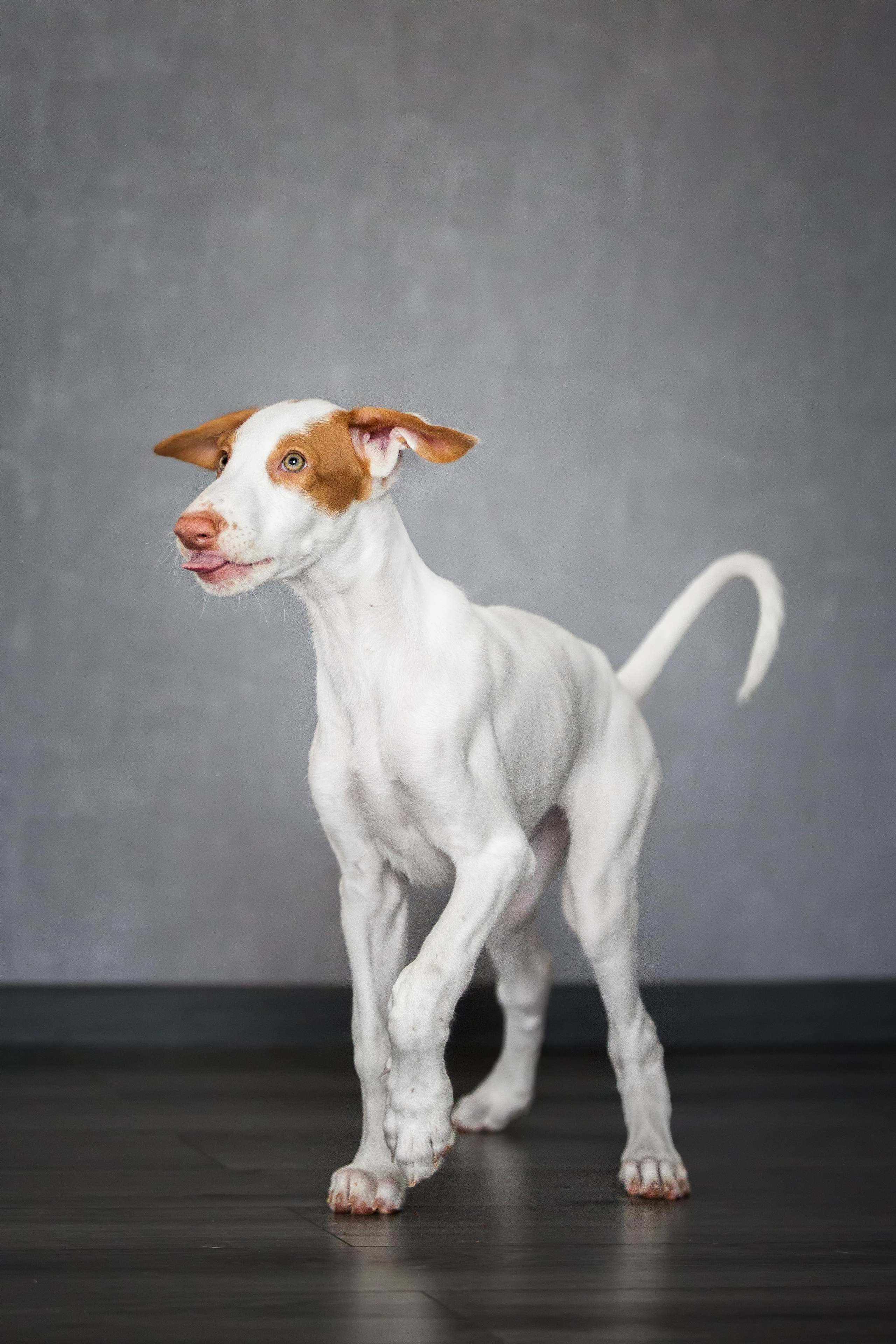 Поденко Ибиценко. Https://moshkovaphoto.ru/