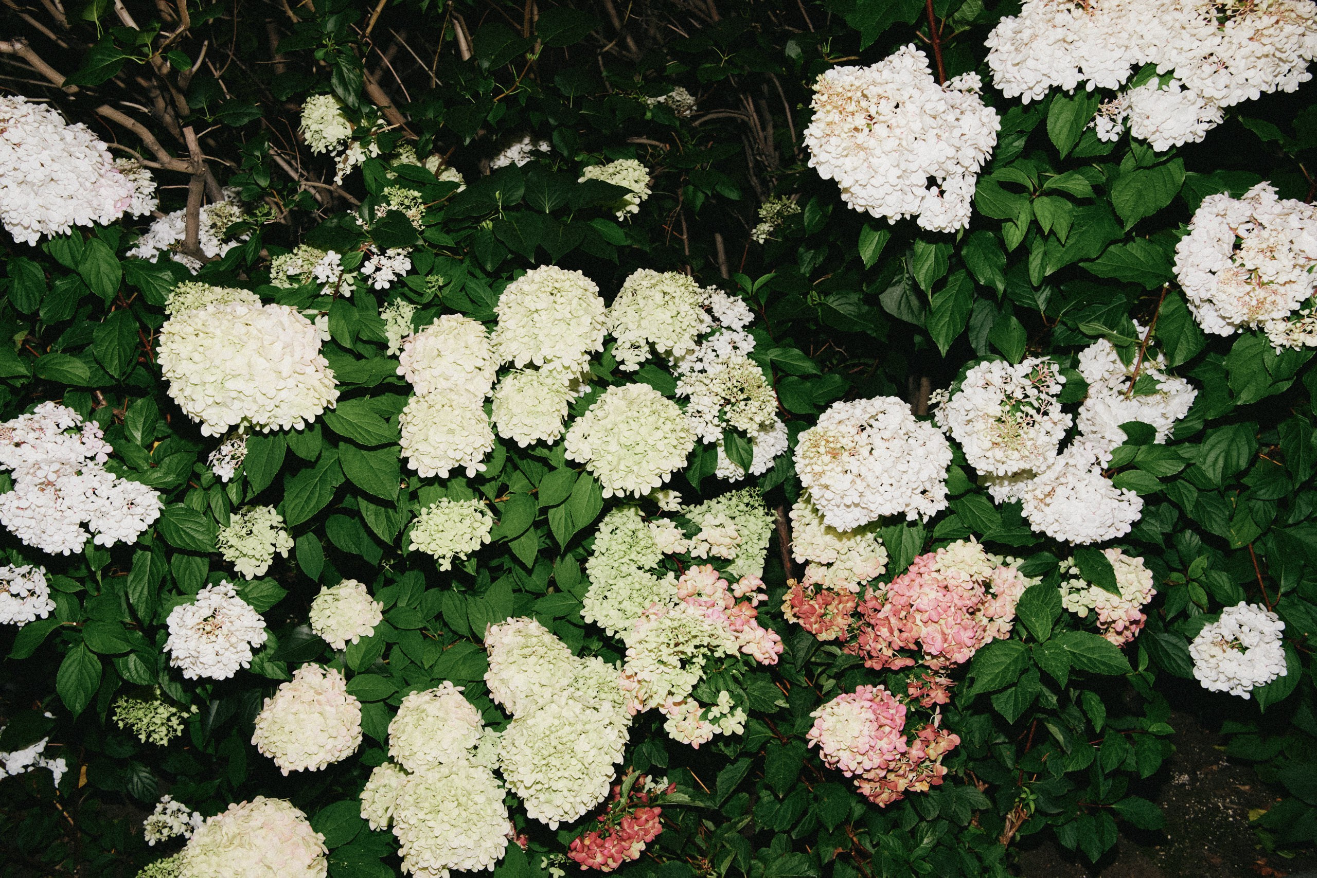 День второй. Уральская международная неделя моды 2024