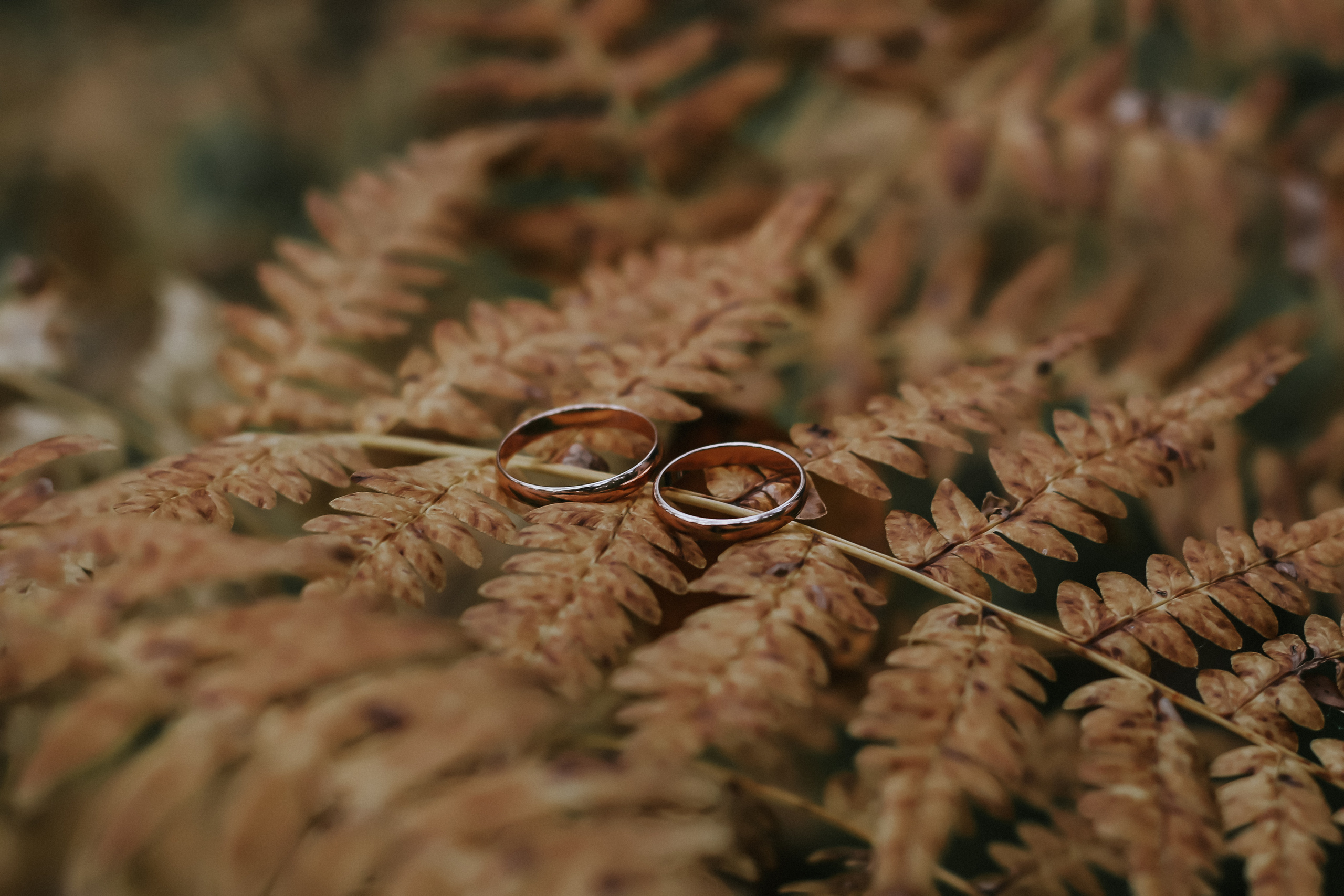 Свадебное портфолио. Фотограф в Иркутске