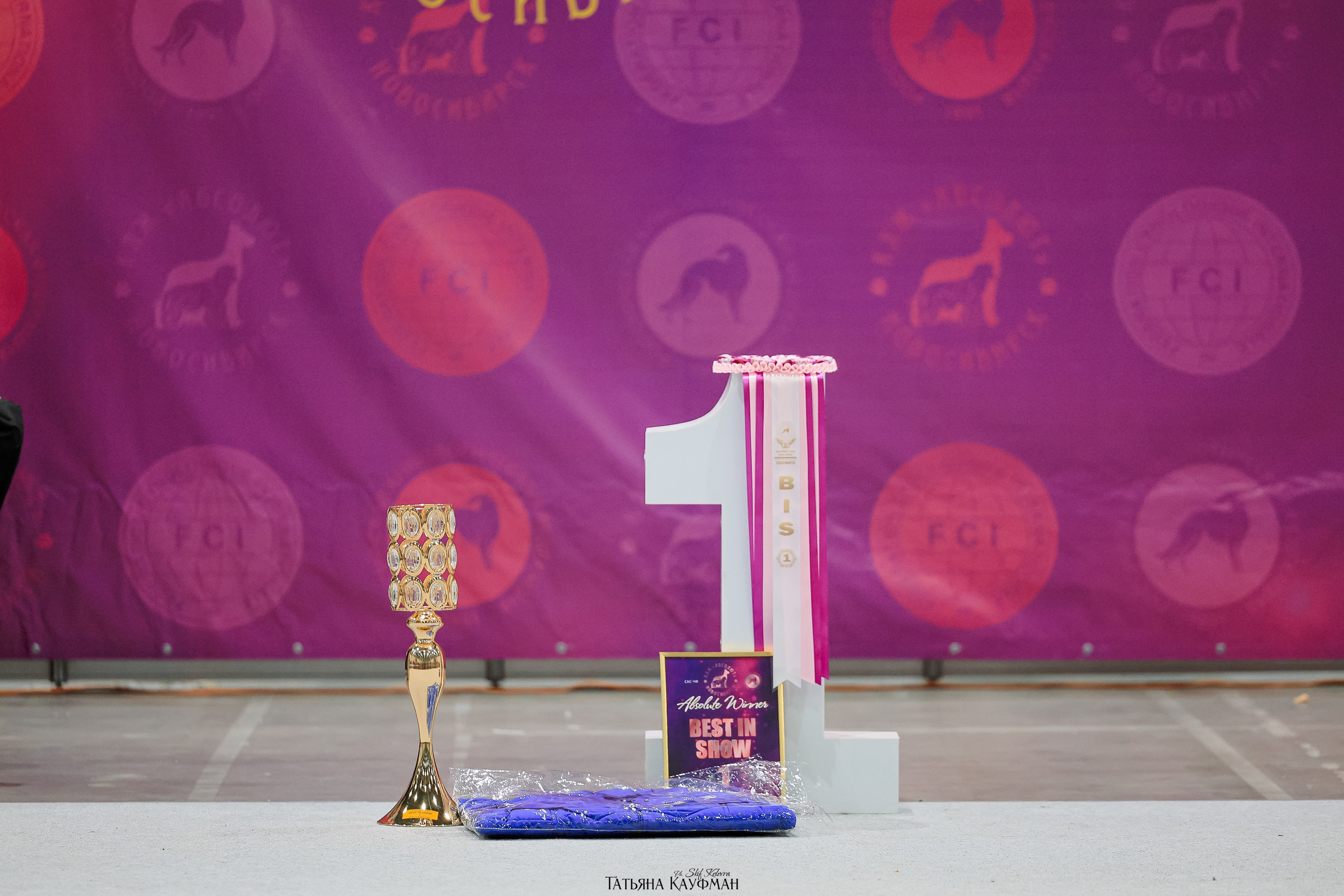 28-29.03.2026 Рейтинговая выставка в Новосибирске. Фотограф Анималист из Новосибирска Татьяна Кауфман