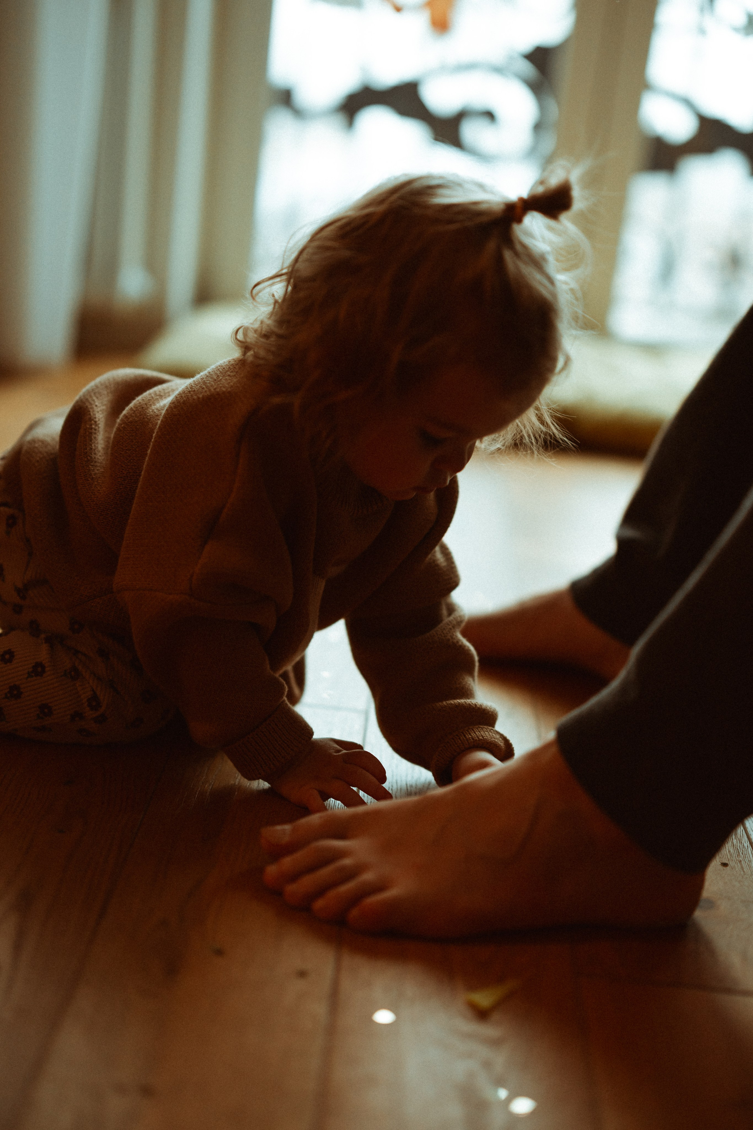 Новогодний переполох. Евгения Пелипас