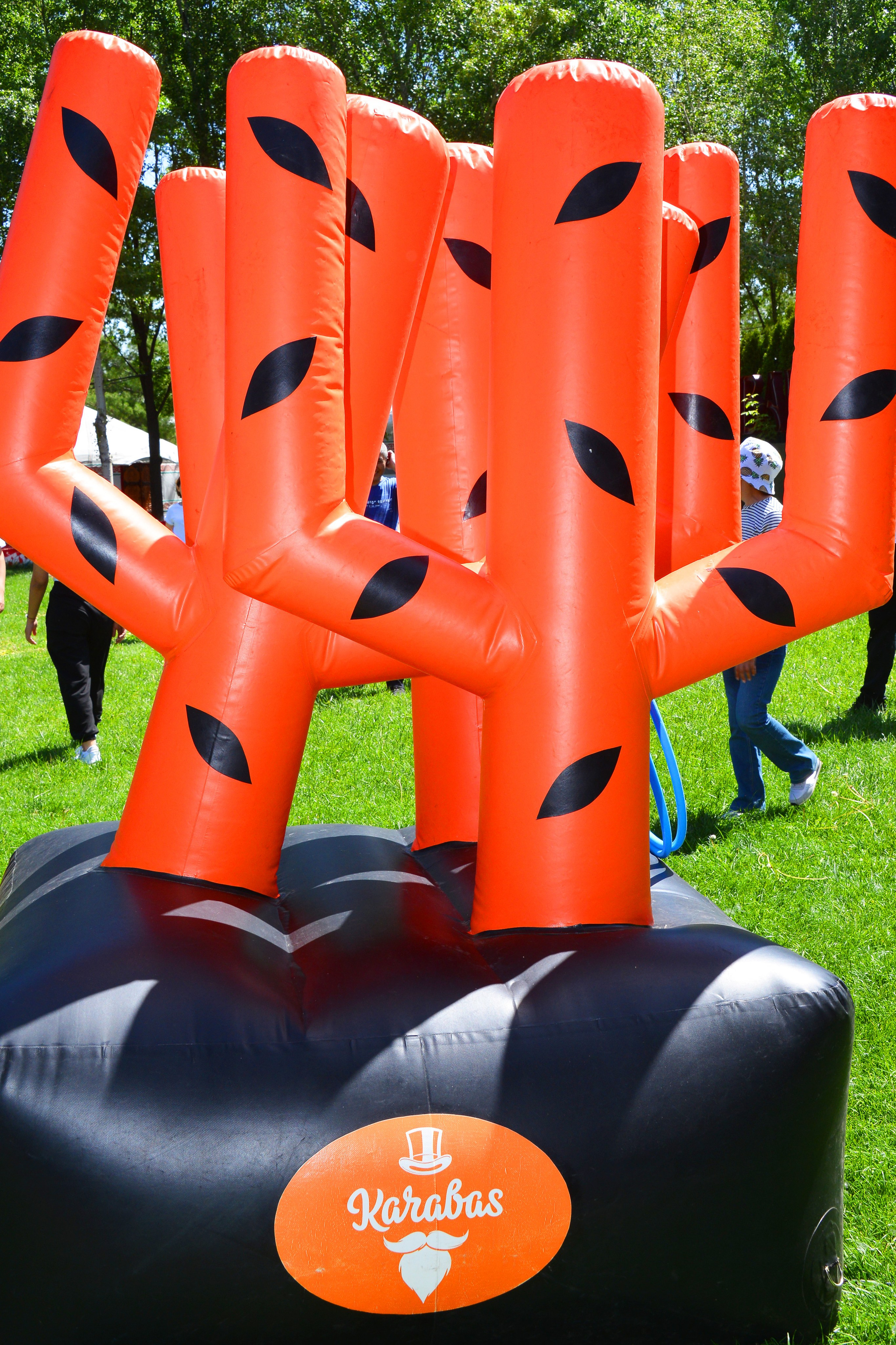 Тимбилдинг-1. Фотосъёмка. Фотограф Сергей Авдеев-семейный и детский фотограф в Алматы