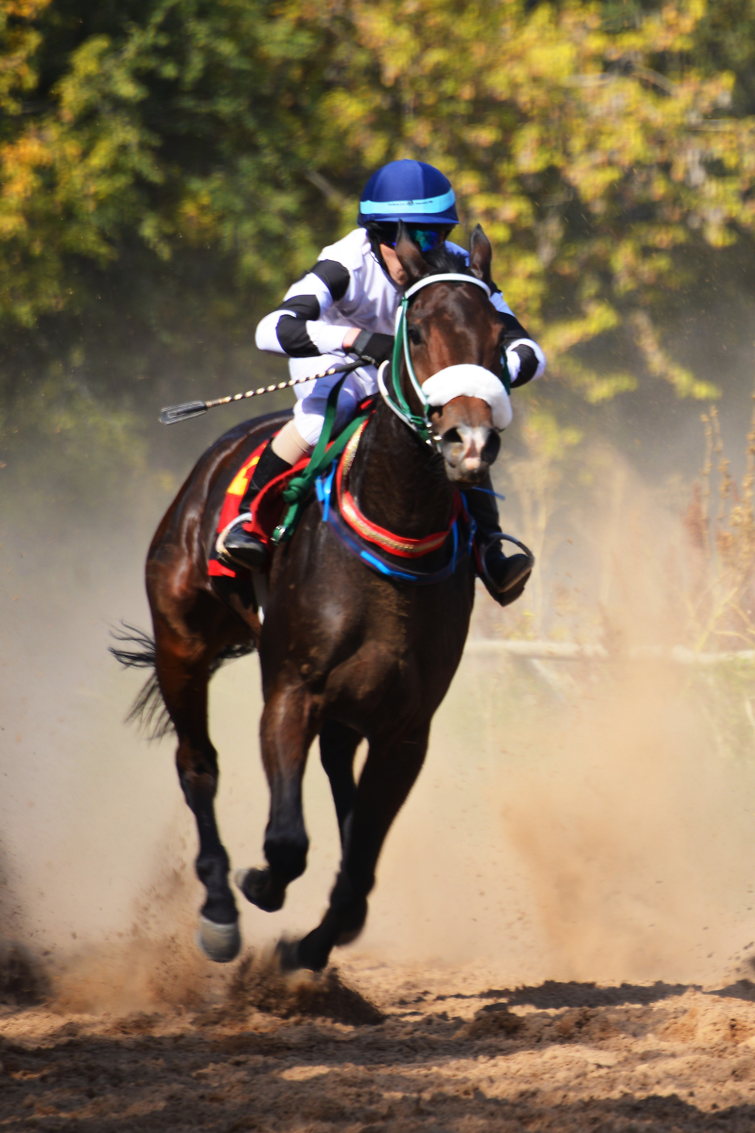 Скачки. Фотосъёмка. Фотограф Сергей Авдеев-семейный и детский фотограф в Алматы
